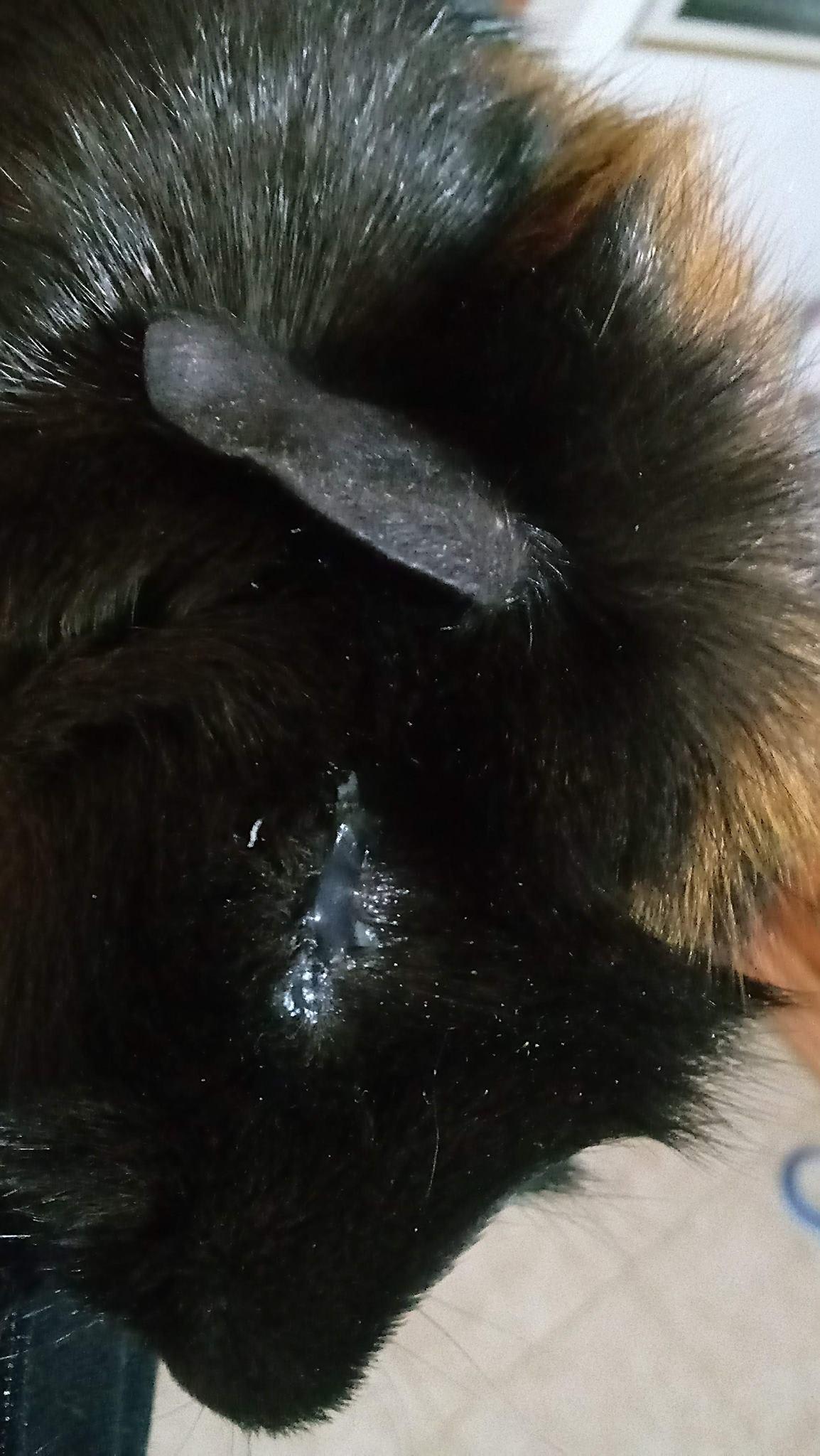 Question details sensitive content