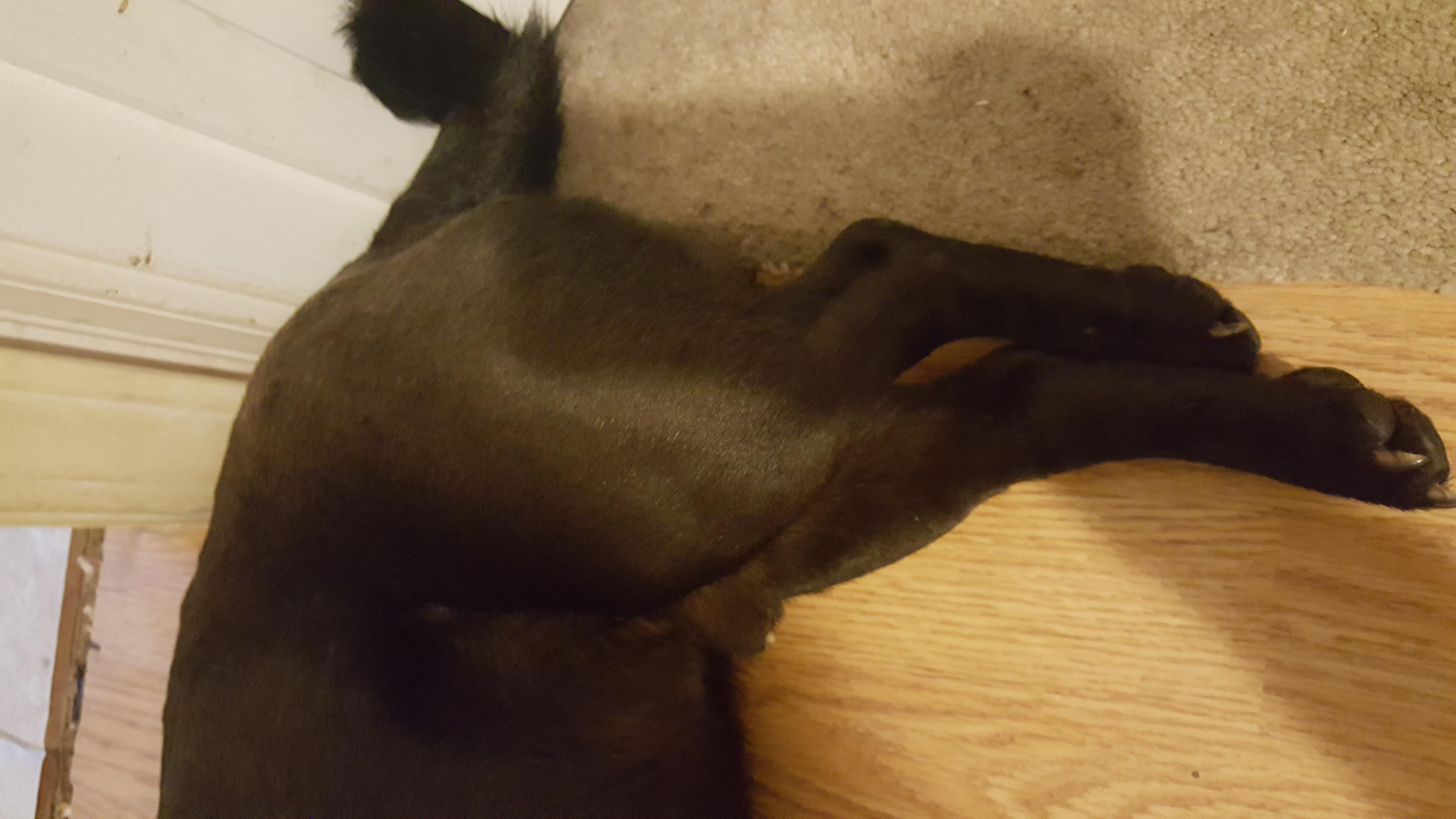 Question details sensitive content