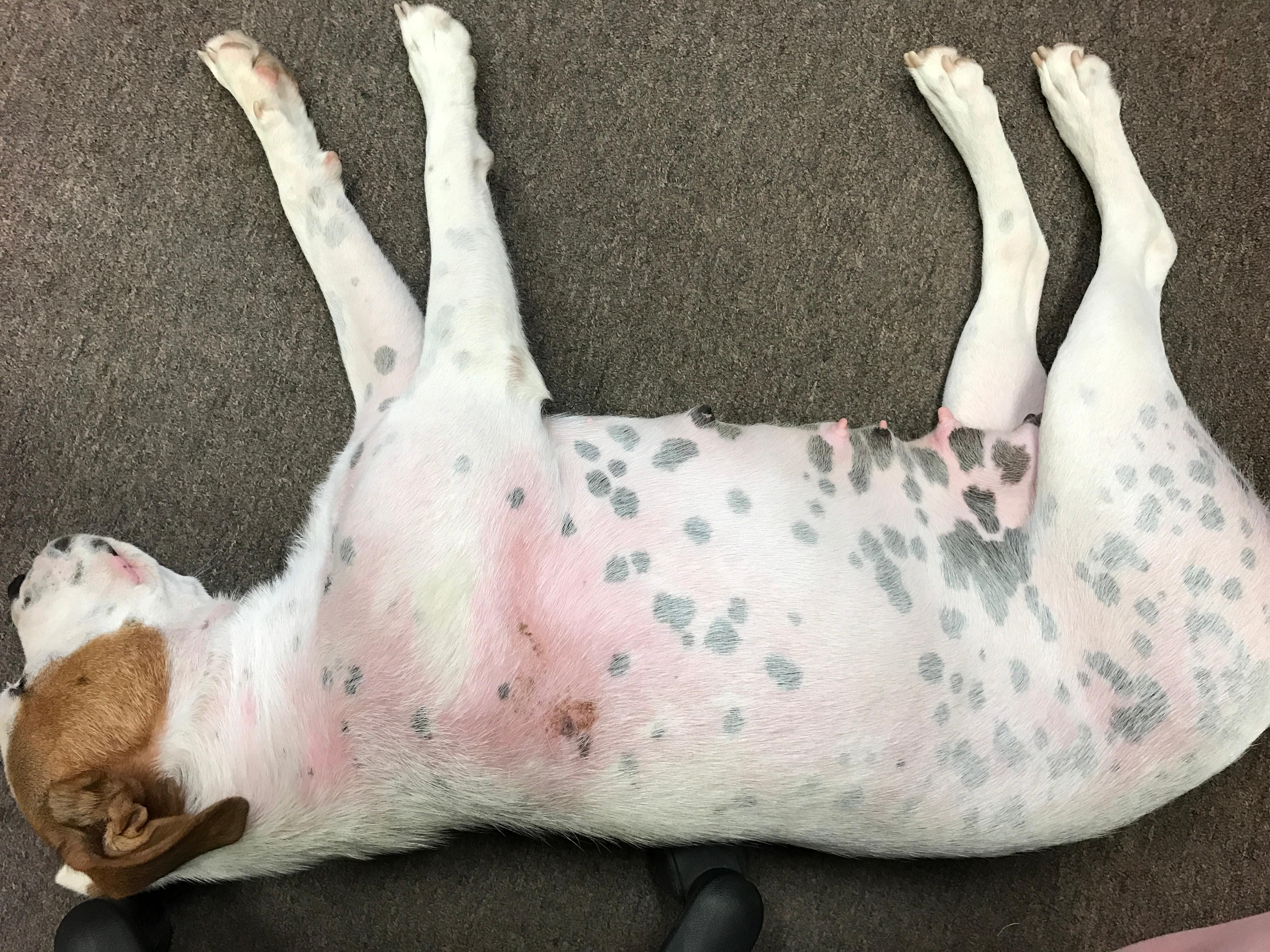 Question details sensitive content