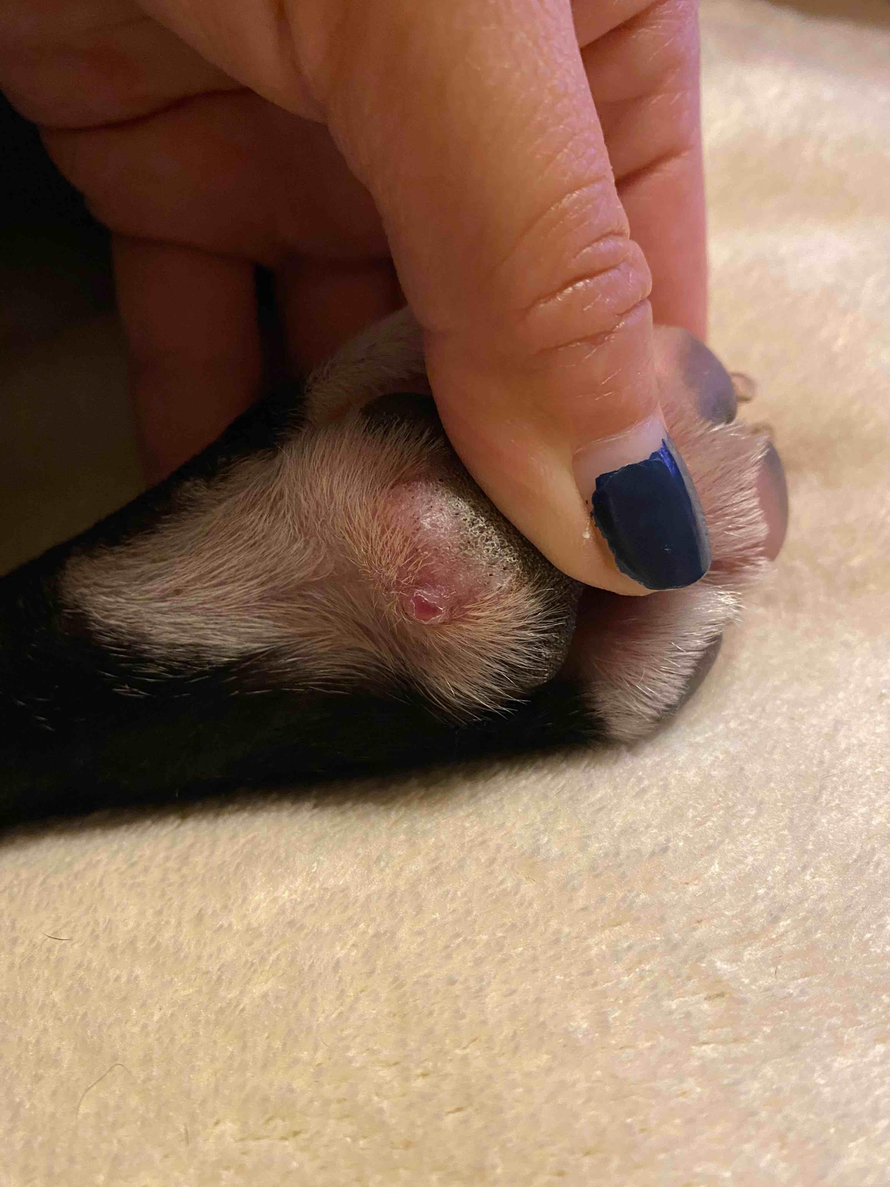 Question details sensitive content