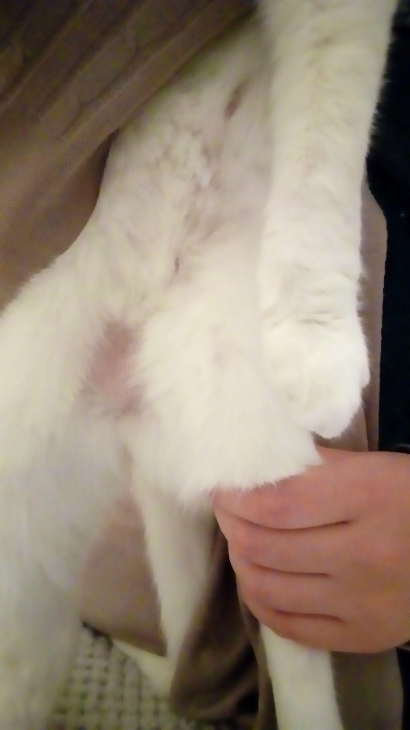 Question details sensitive content