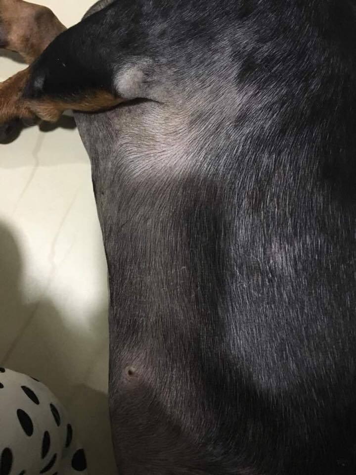 Question details sensitive content