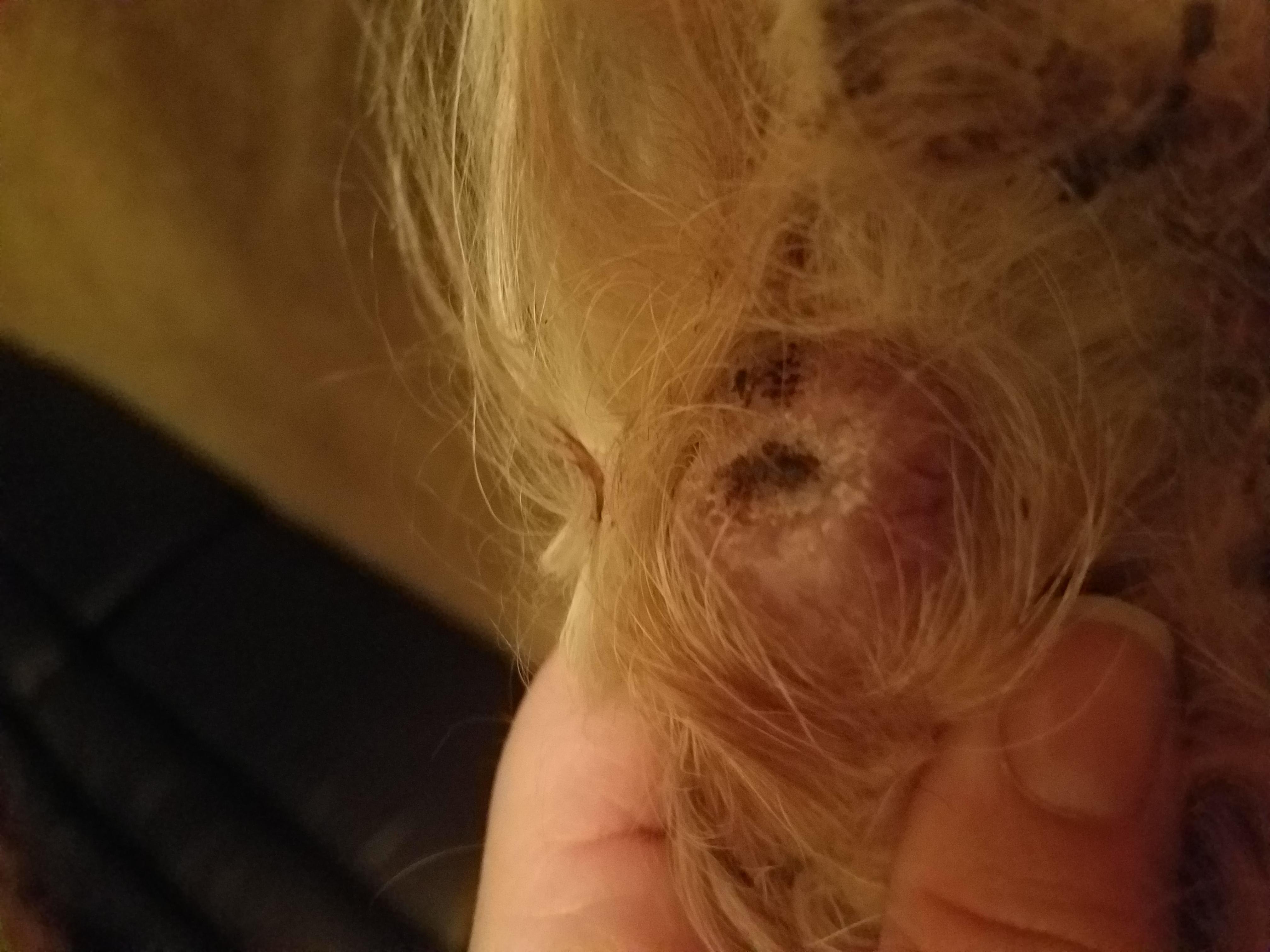 Question details sensitive content