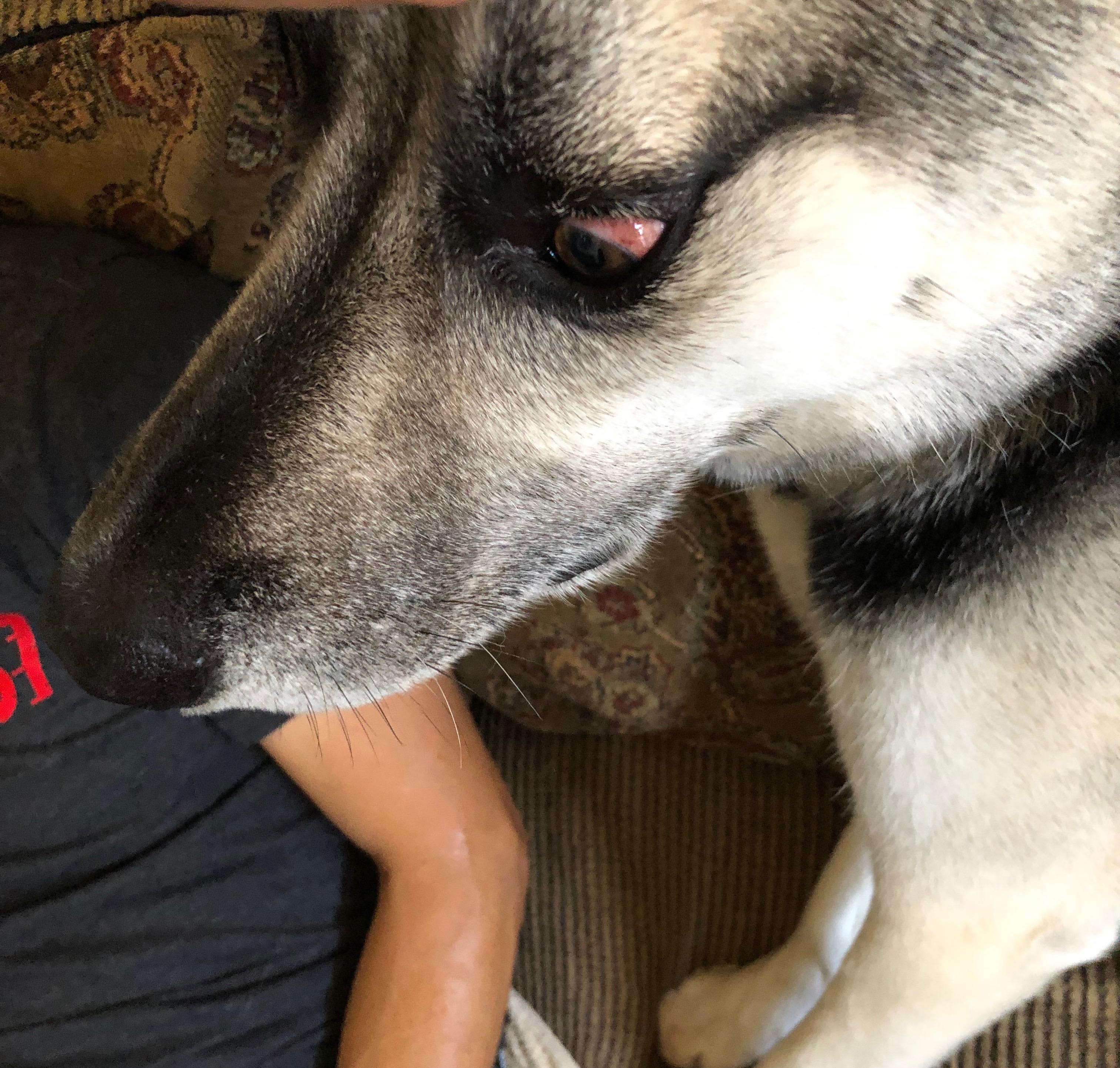 Question details sensitive content