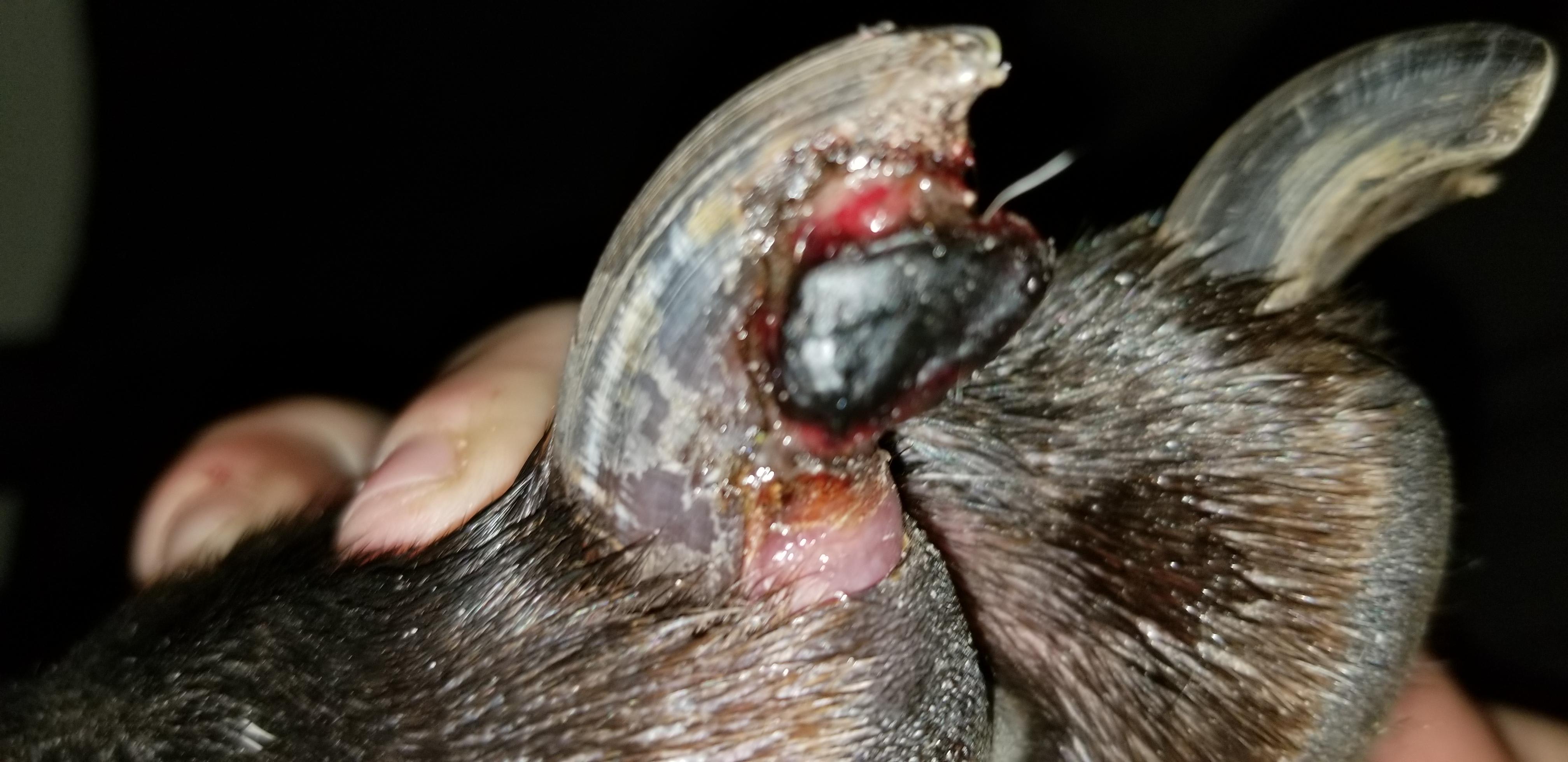 Question details sensitive content