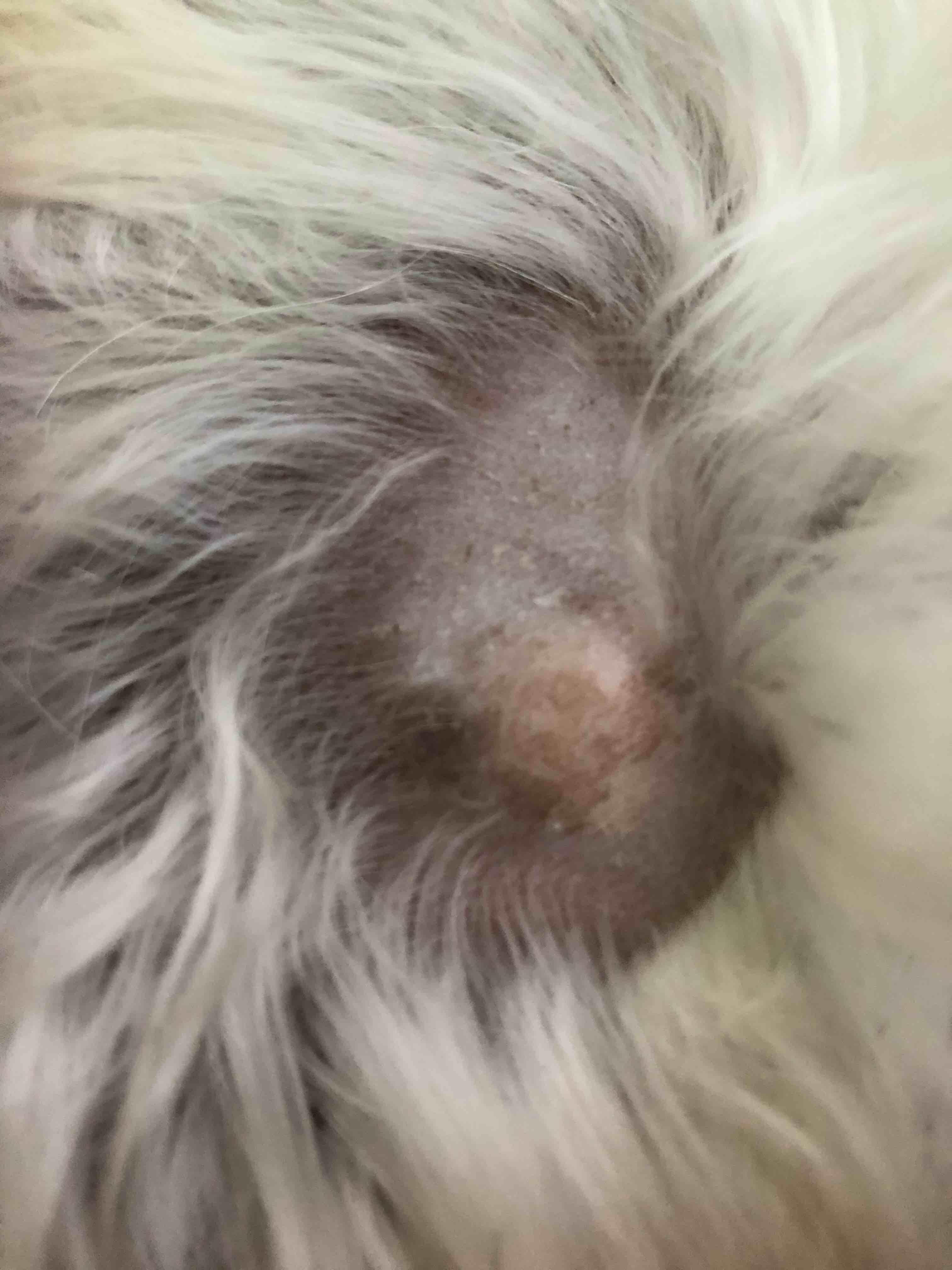 Question details sensitive content