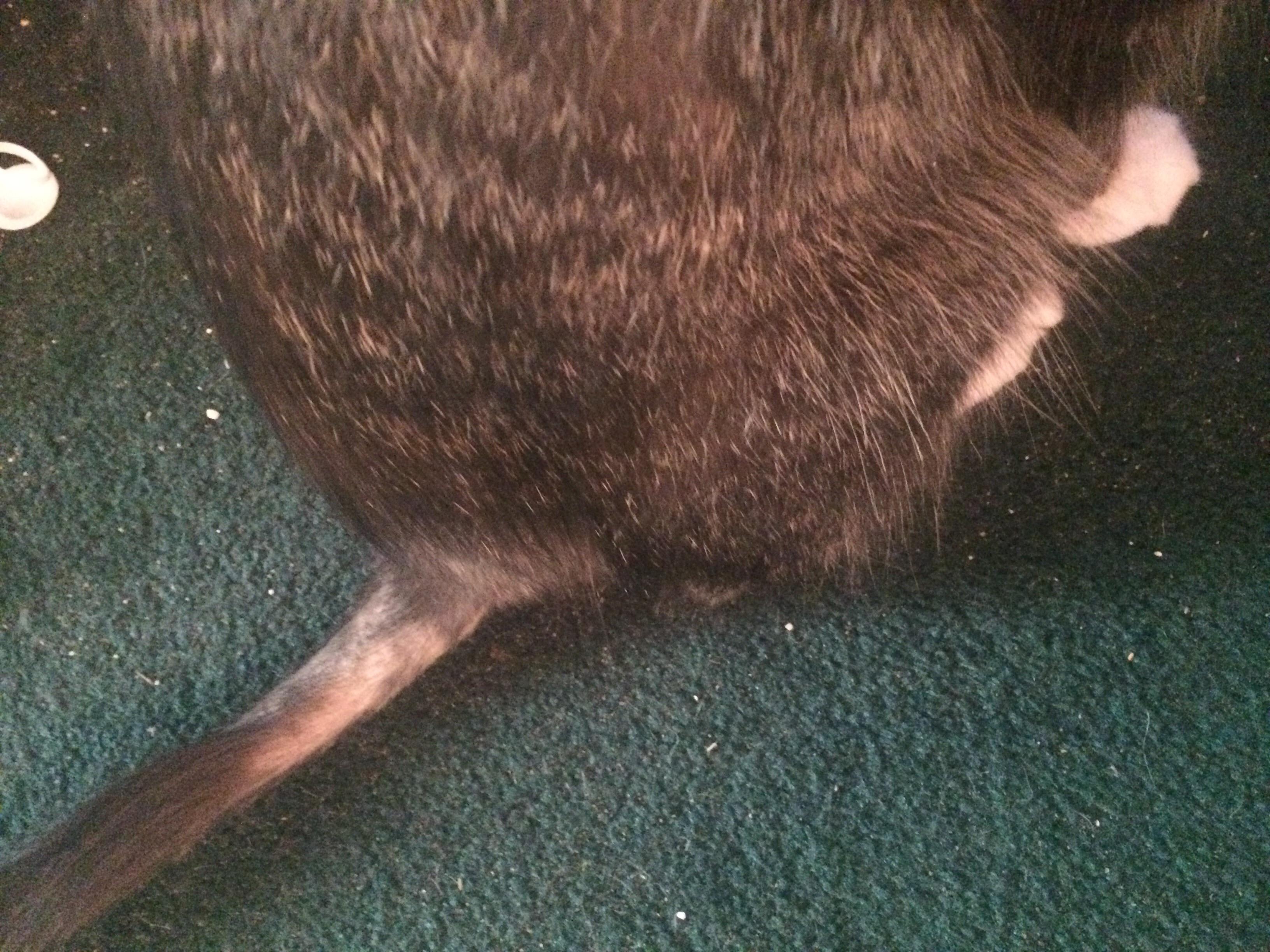 Question details sensitive content