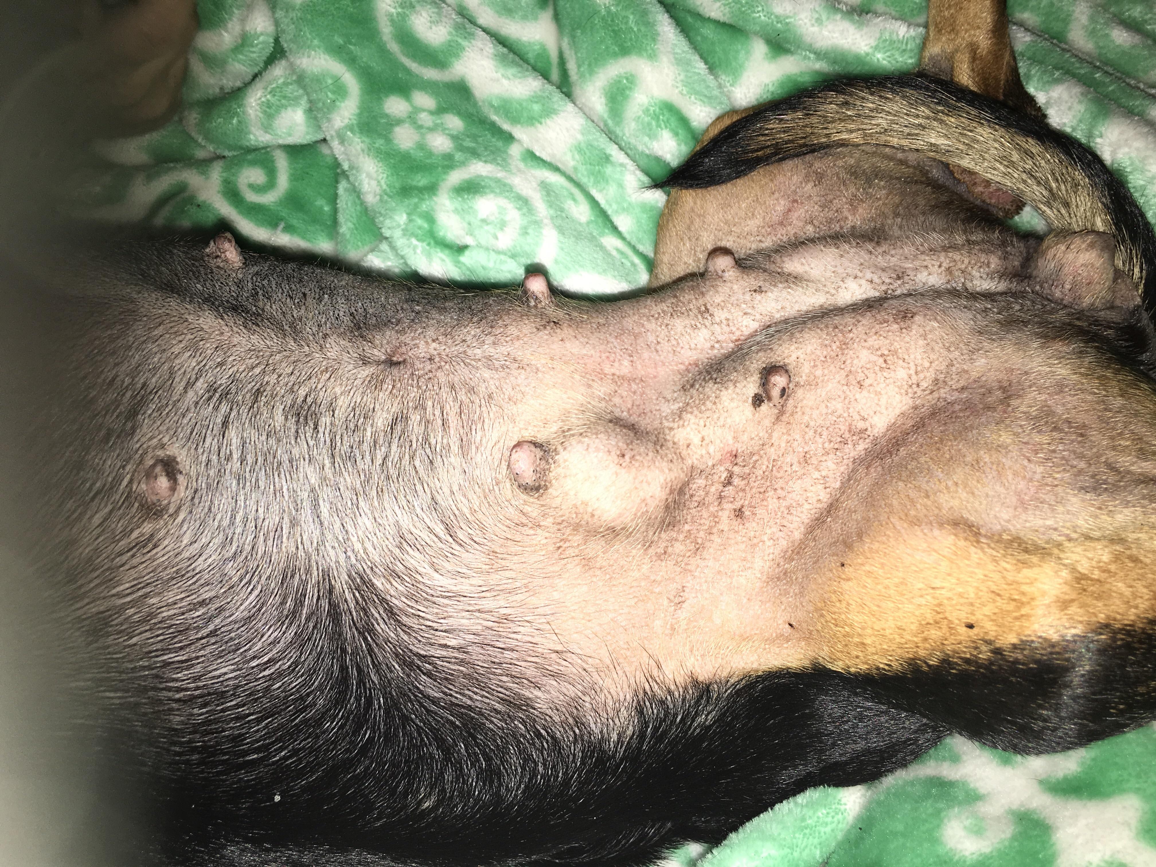 Question details sensitive content