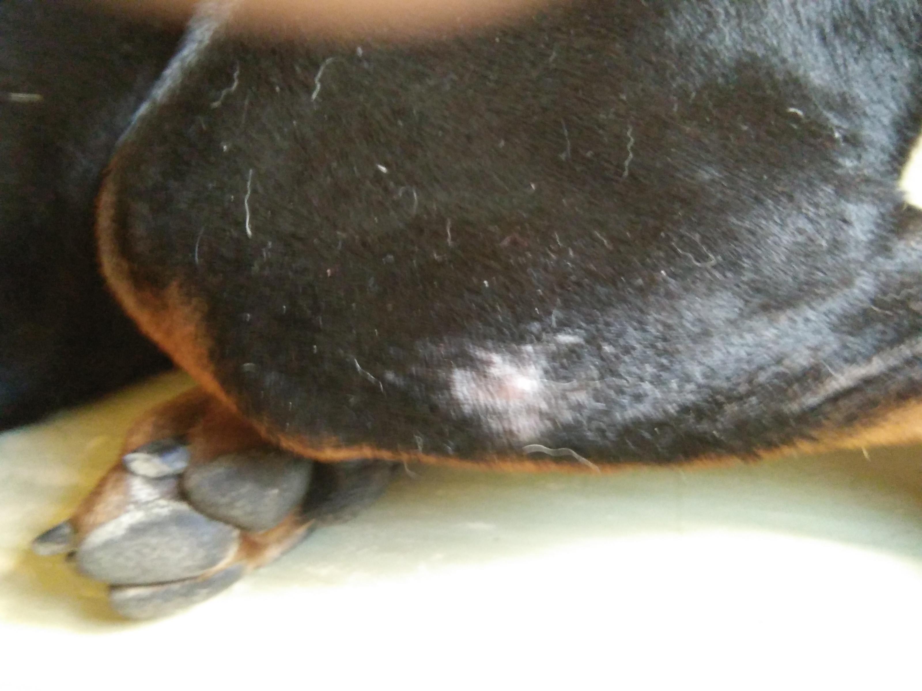 Question details sensitive content