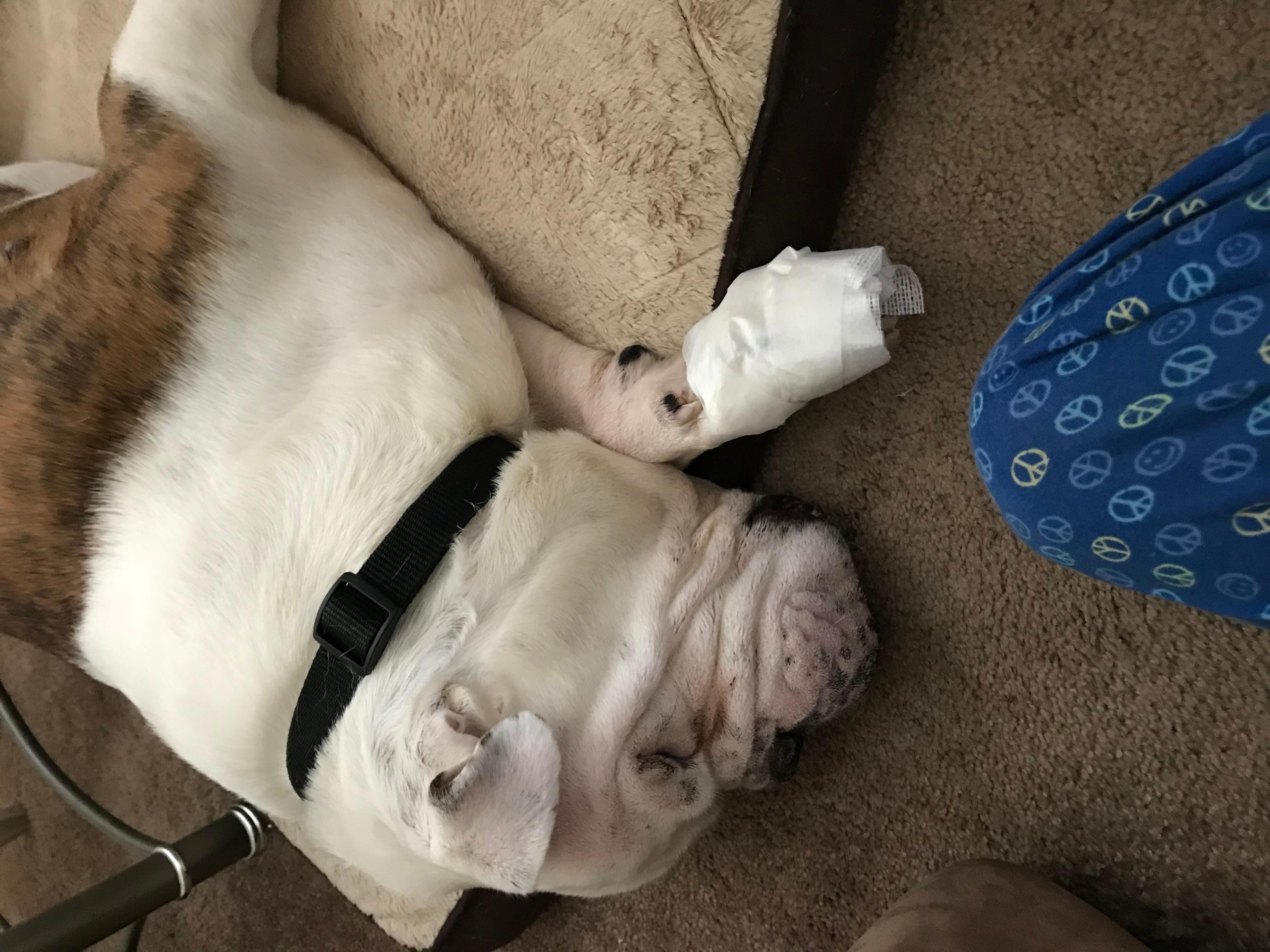 Question details sensitive content