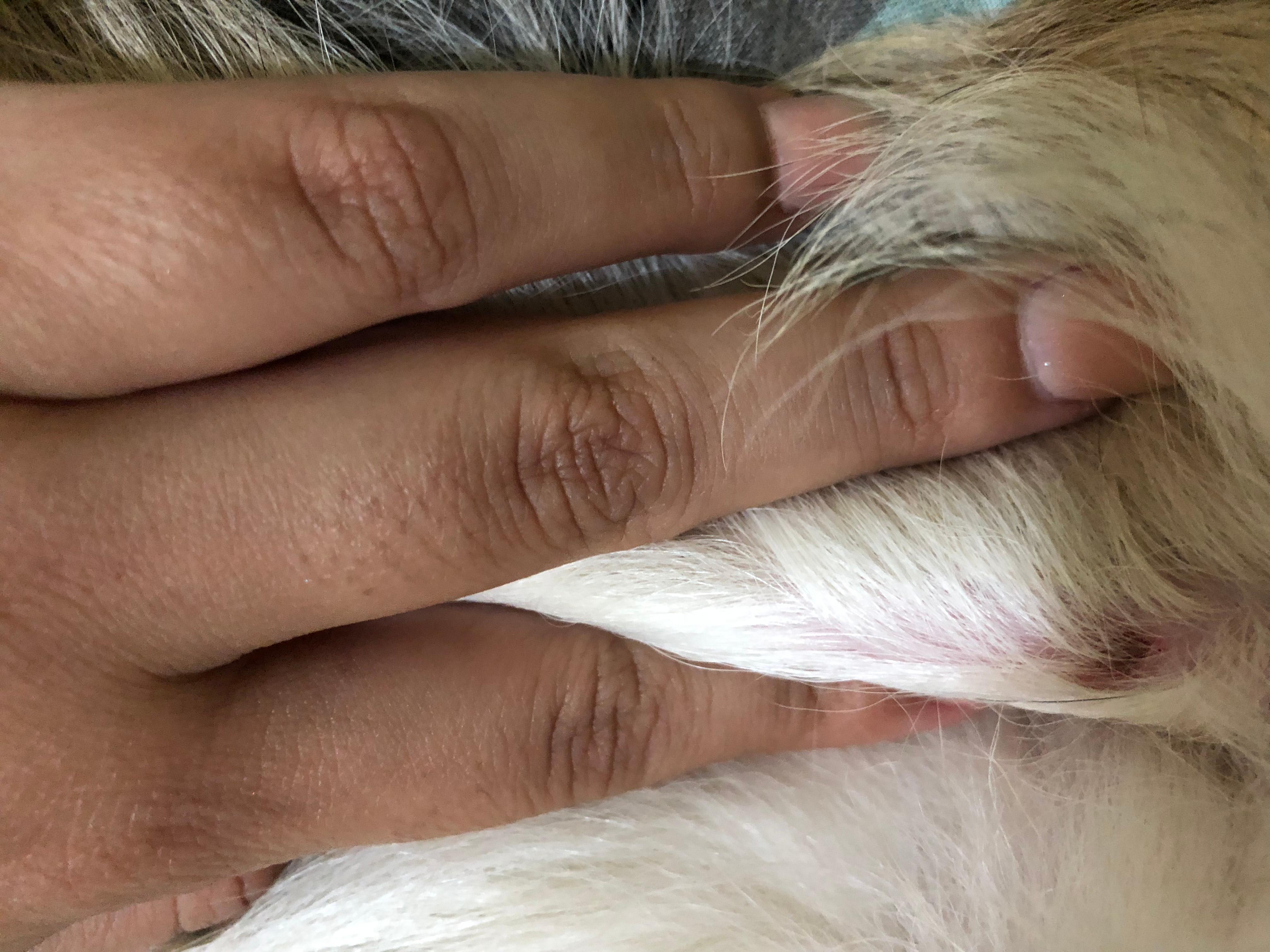 Question details sensitive content