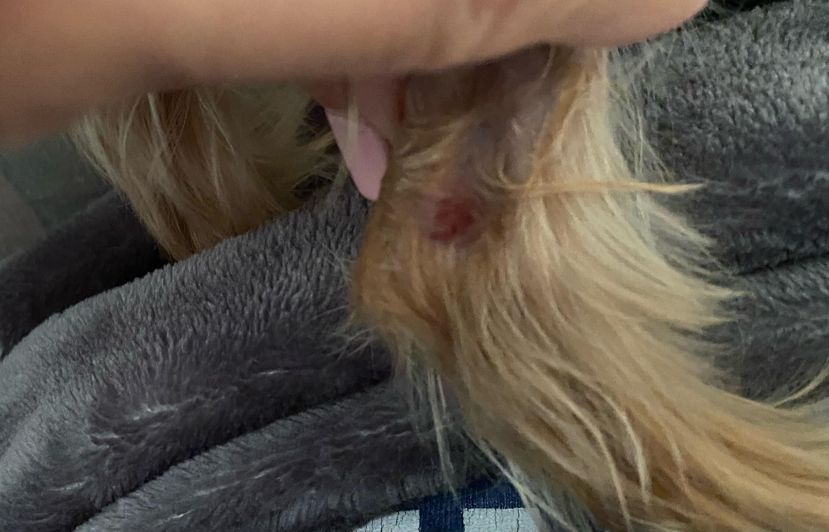 Question details sensitive content