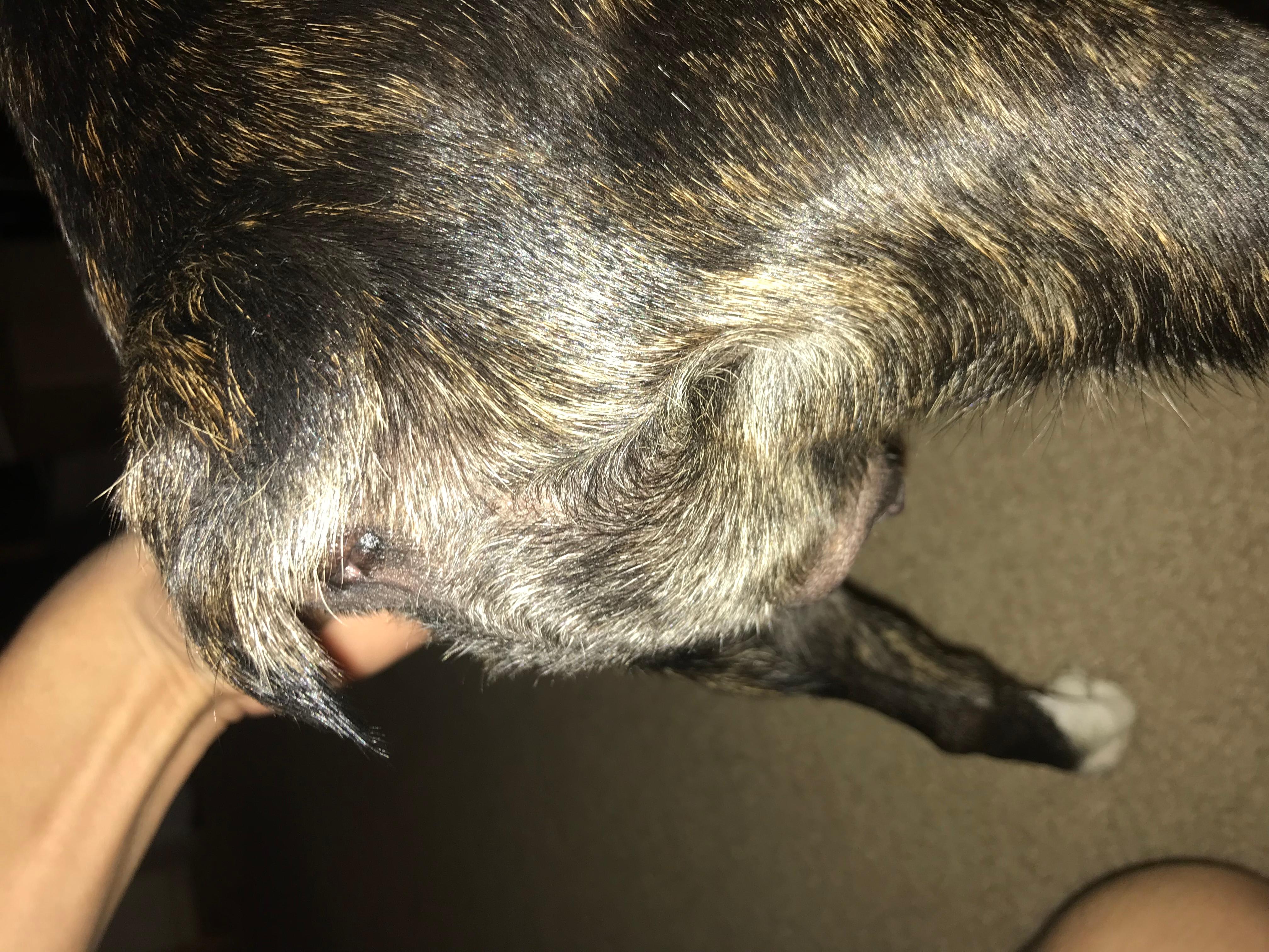 Question details sensitive content