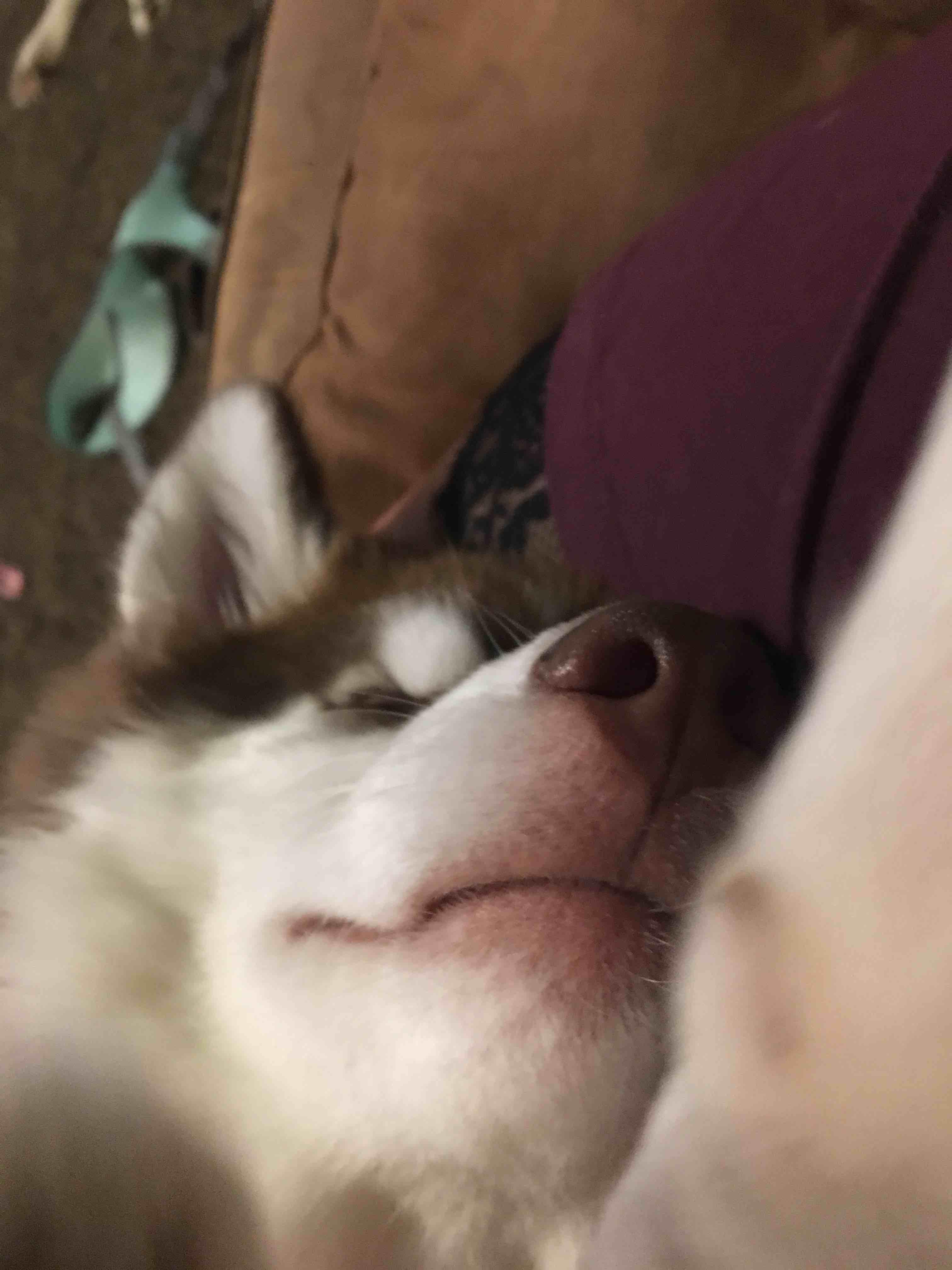 Question details sensitive content