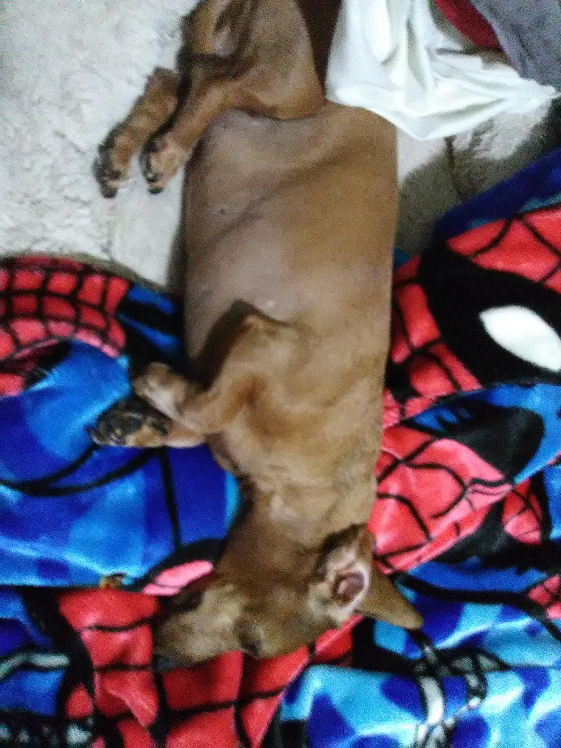 Question details sensitive content