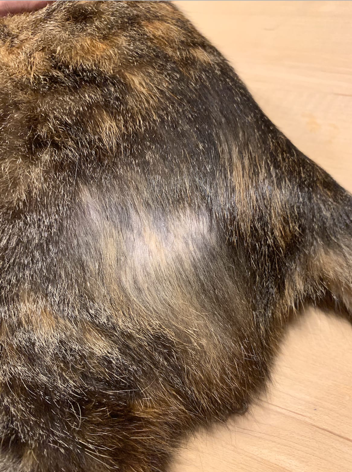 Question details sensitive content