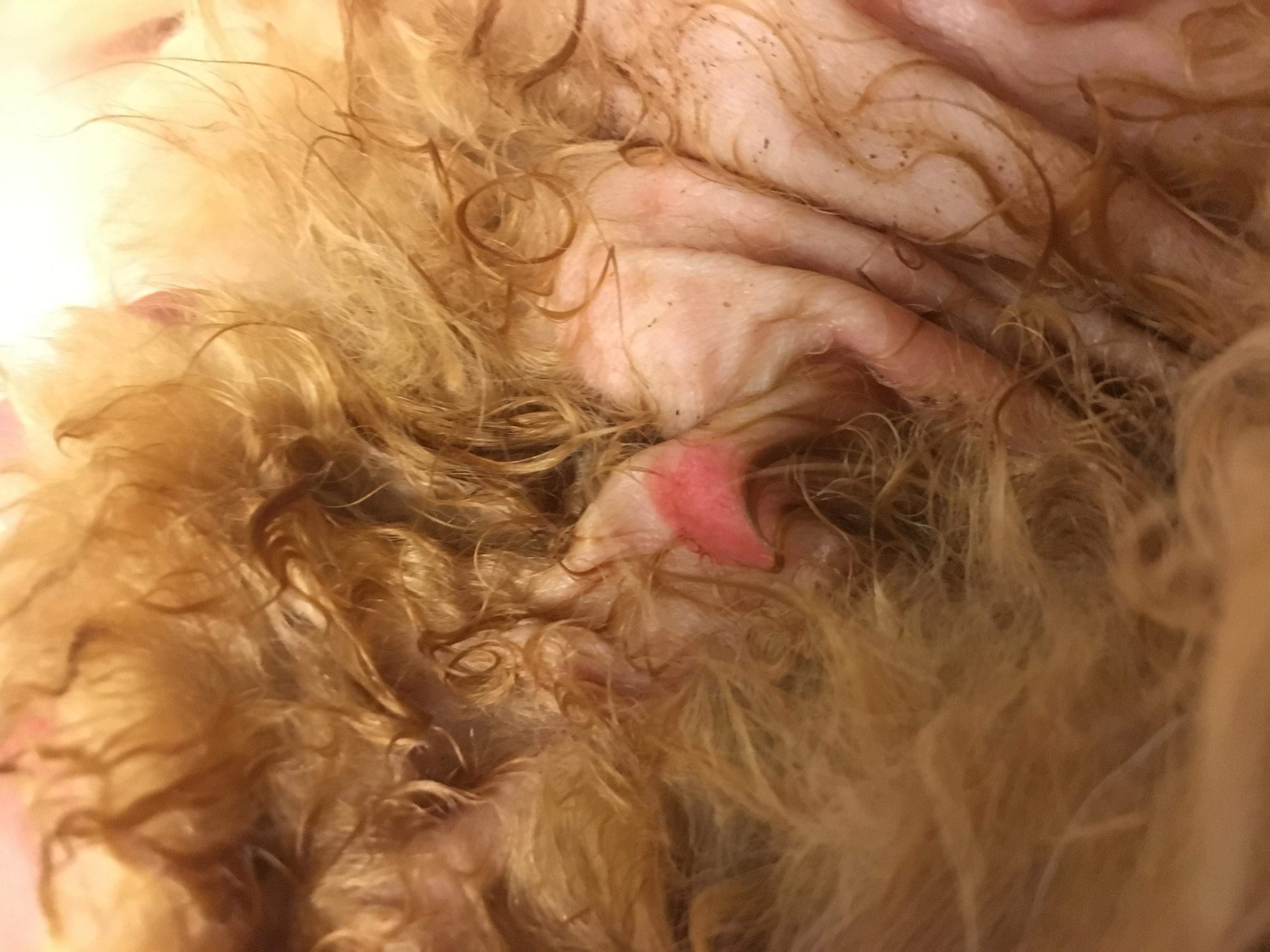 Question details sensitive content