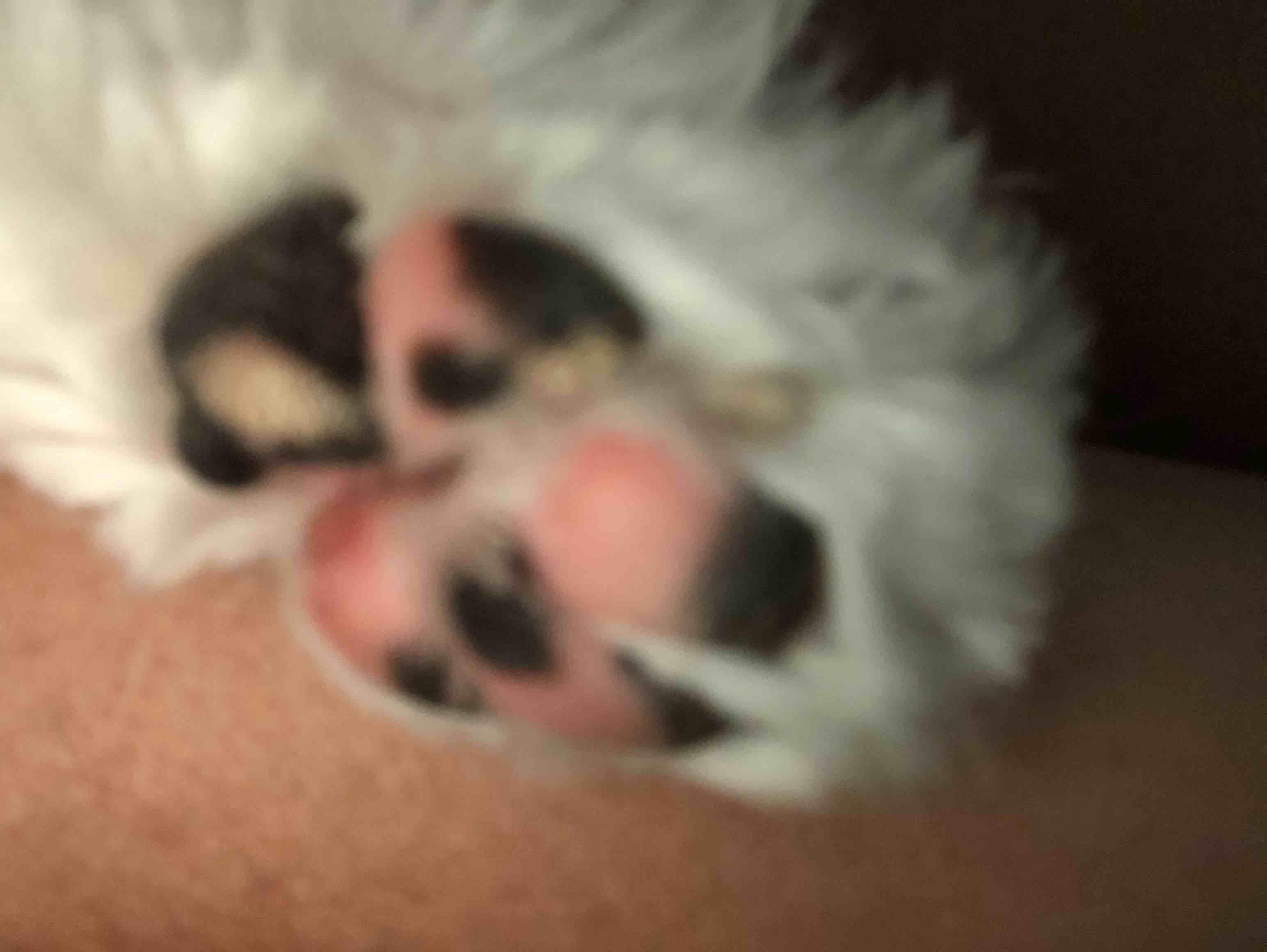 Question details sensitive content