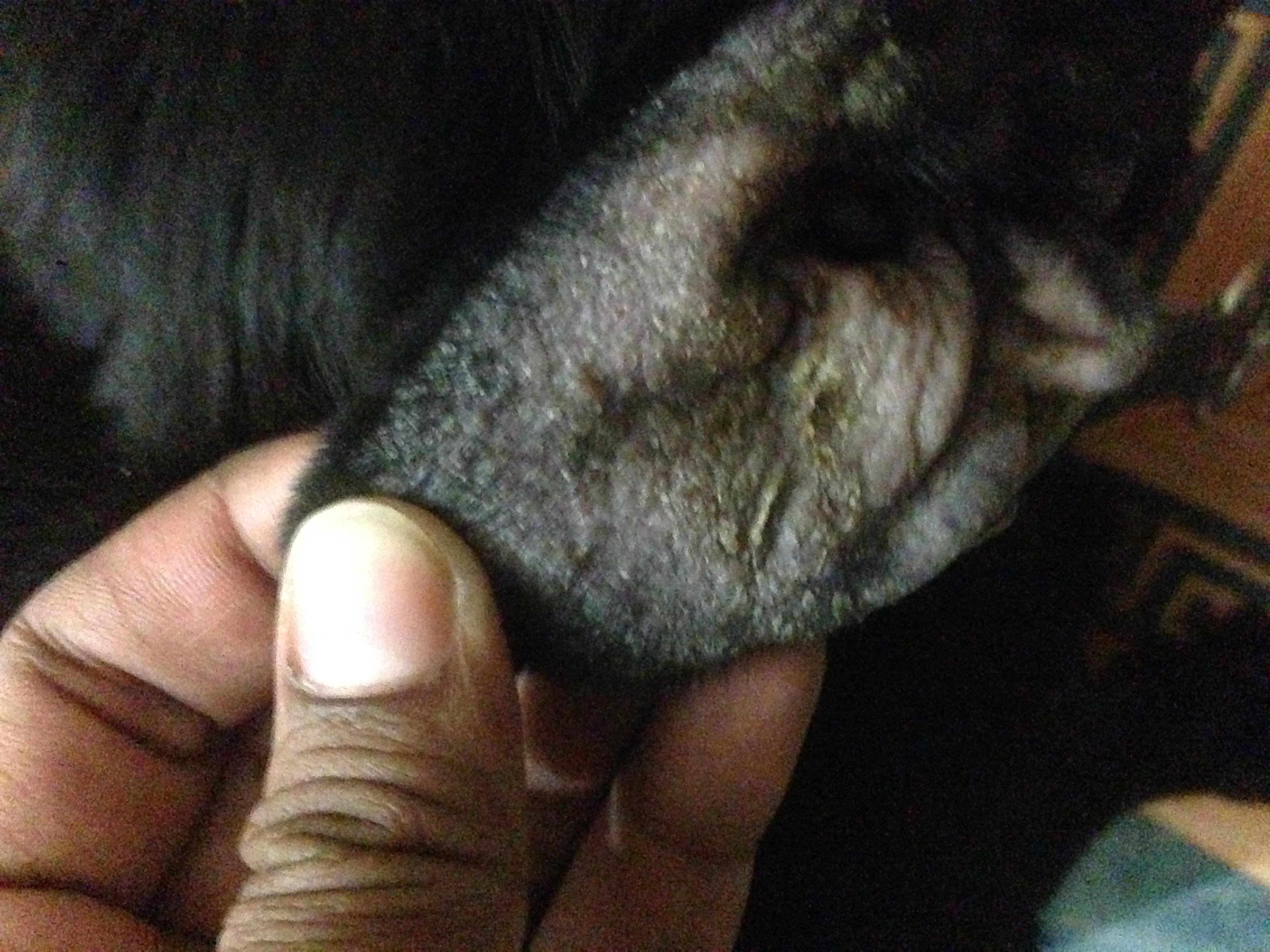 Question details sensitive content