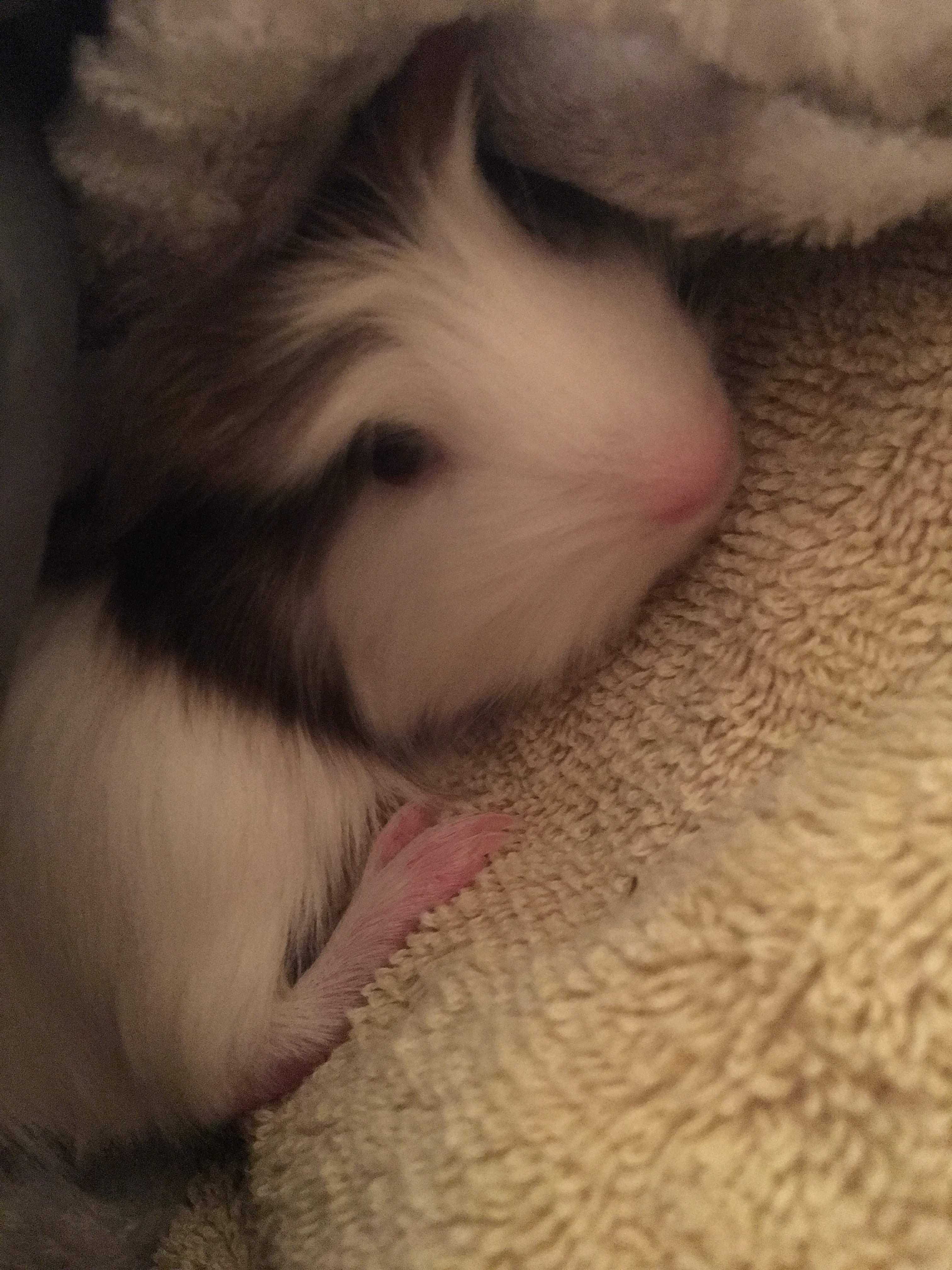 Question details sensitive content