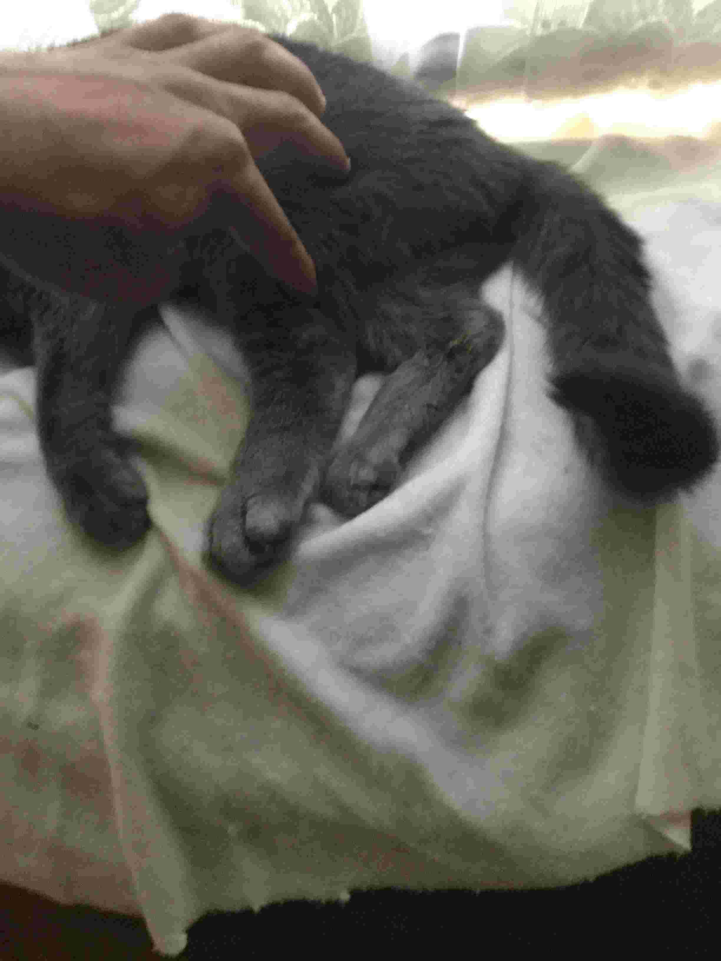 Question details sensitive content