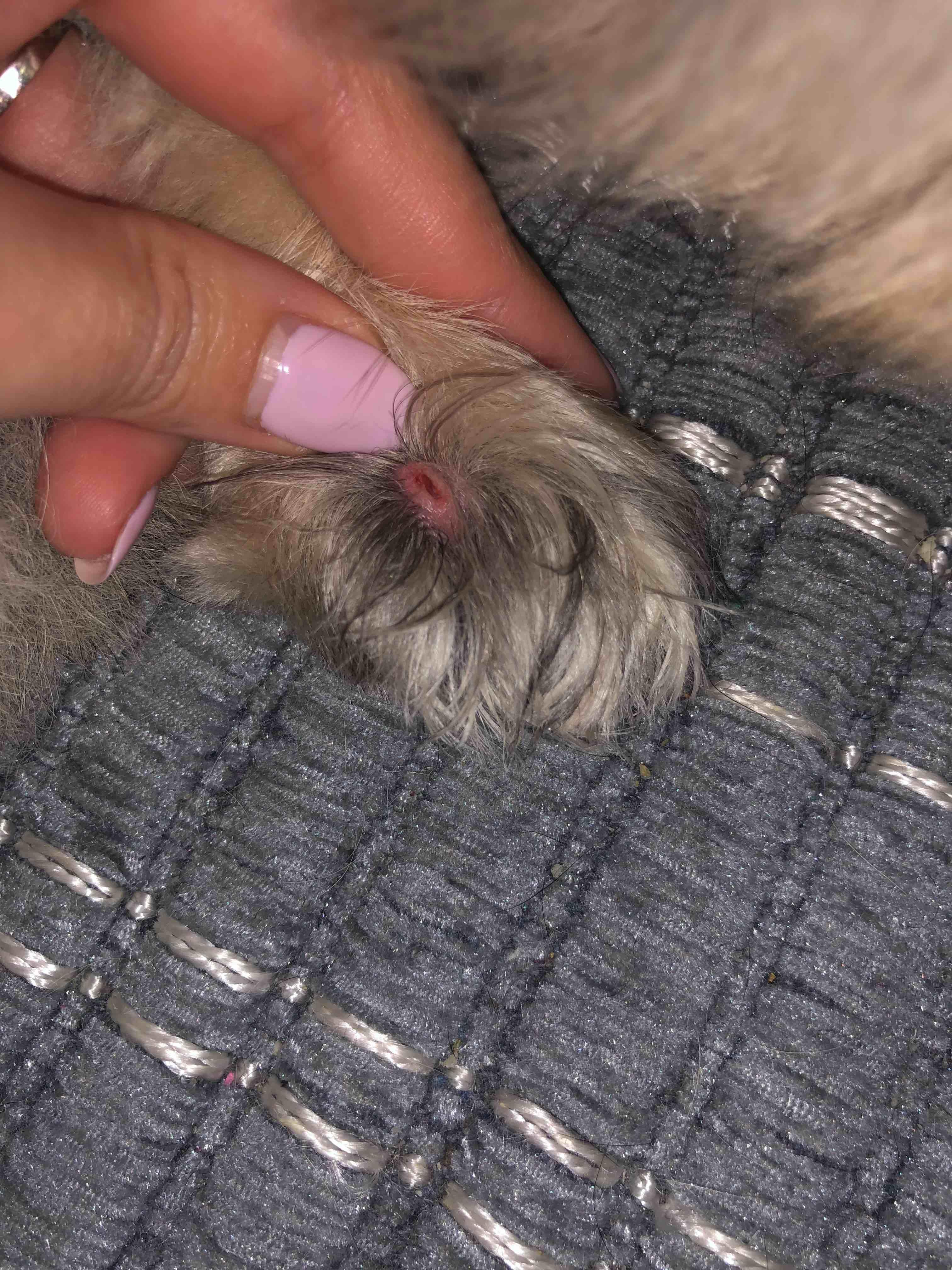 Question details sensitive content