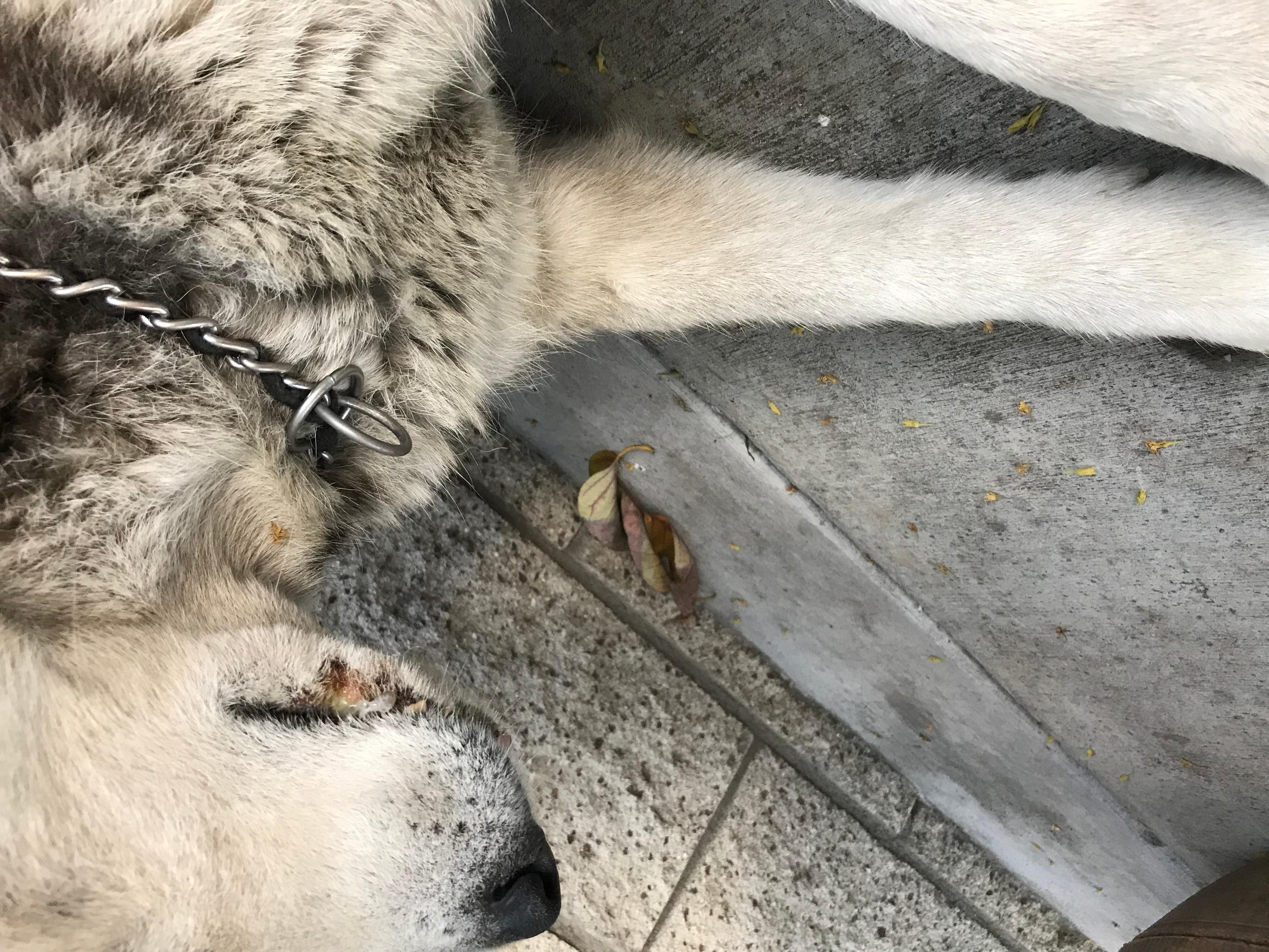 Question details sensitive content