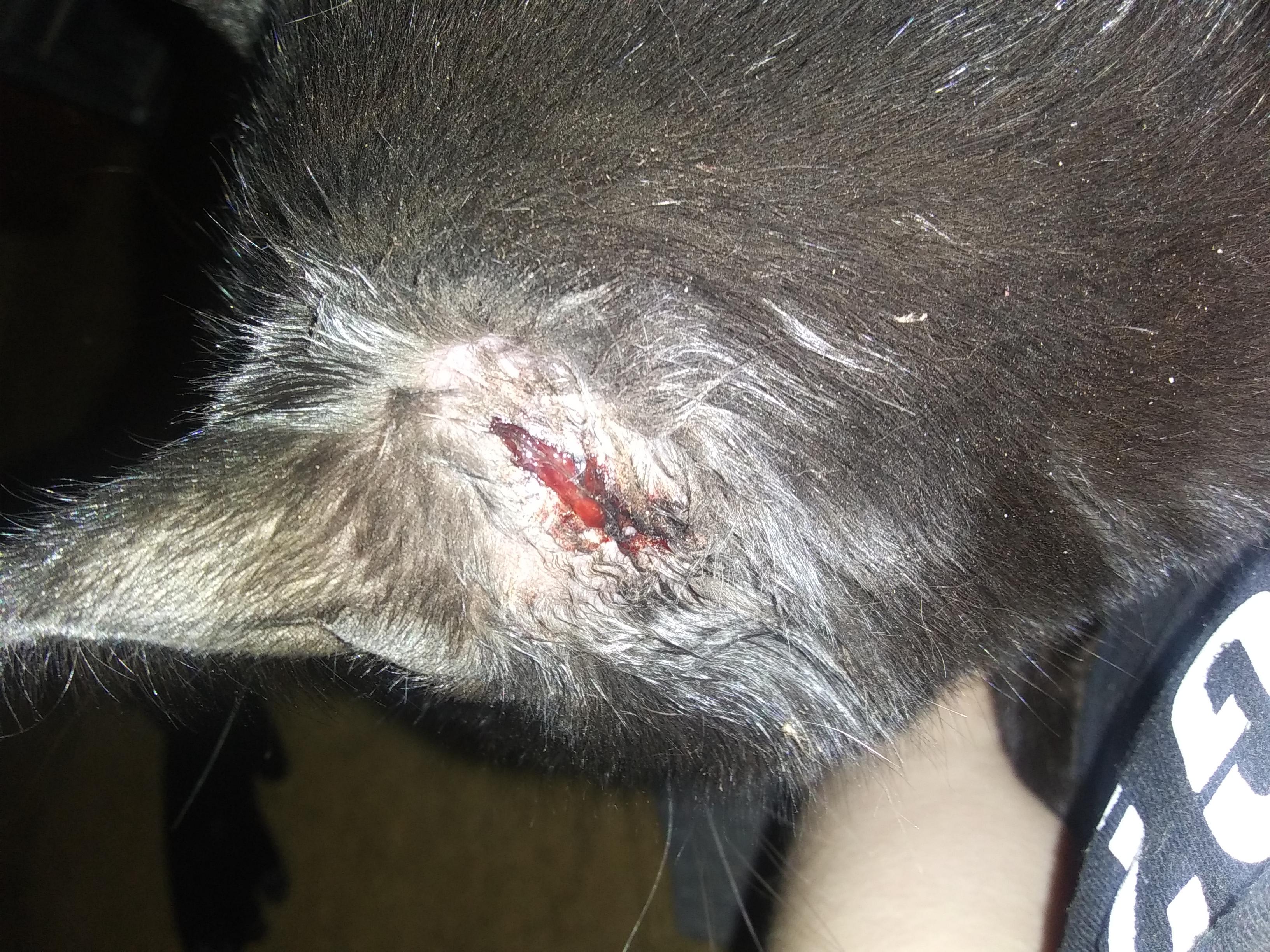 Question details sensitive content