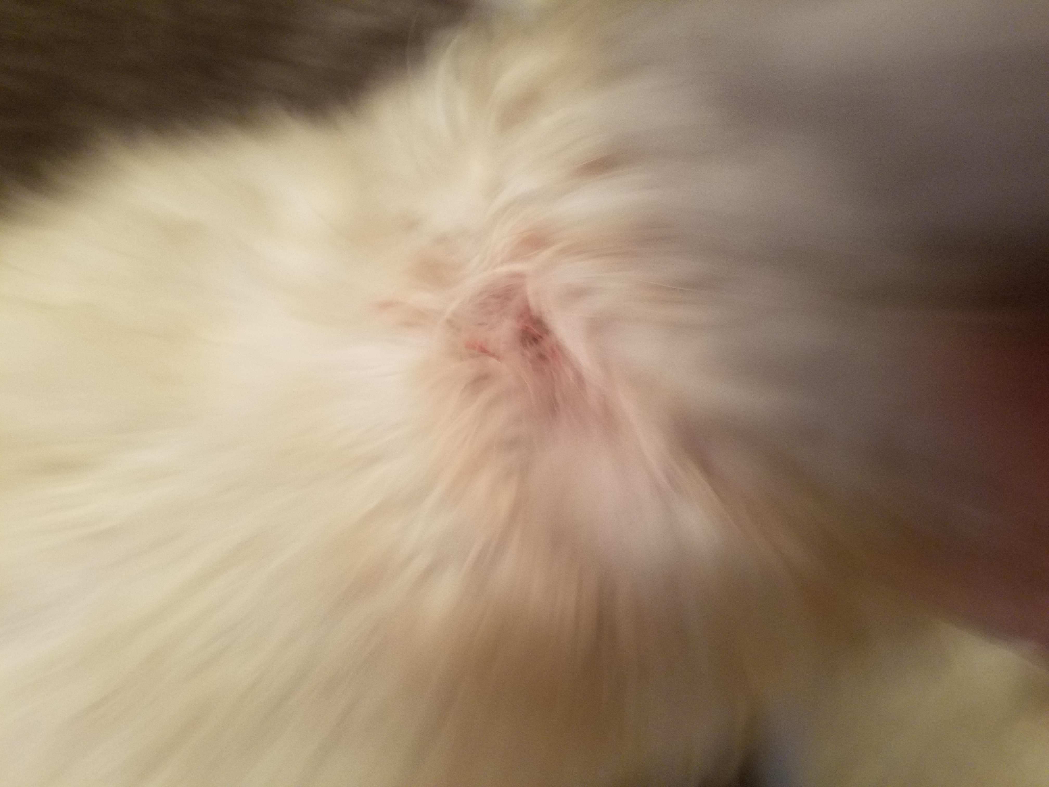 Question details sensitive content