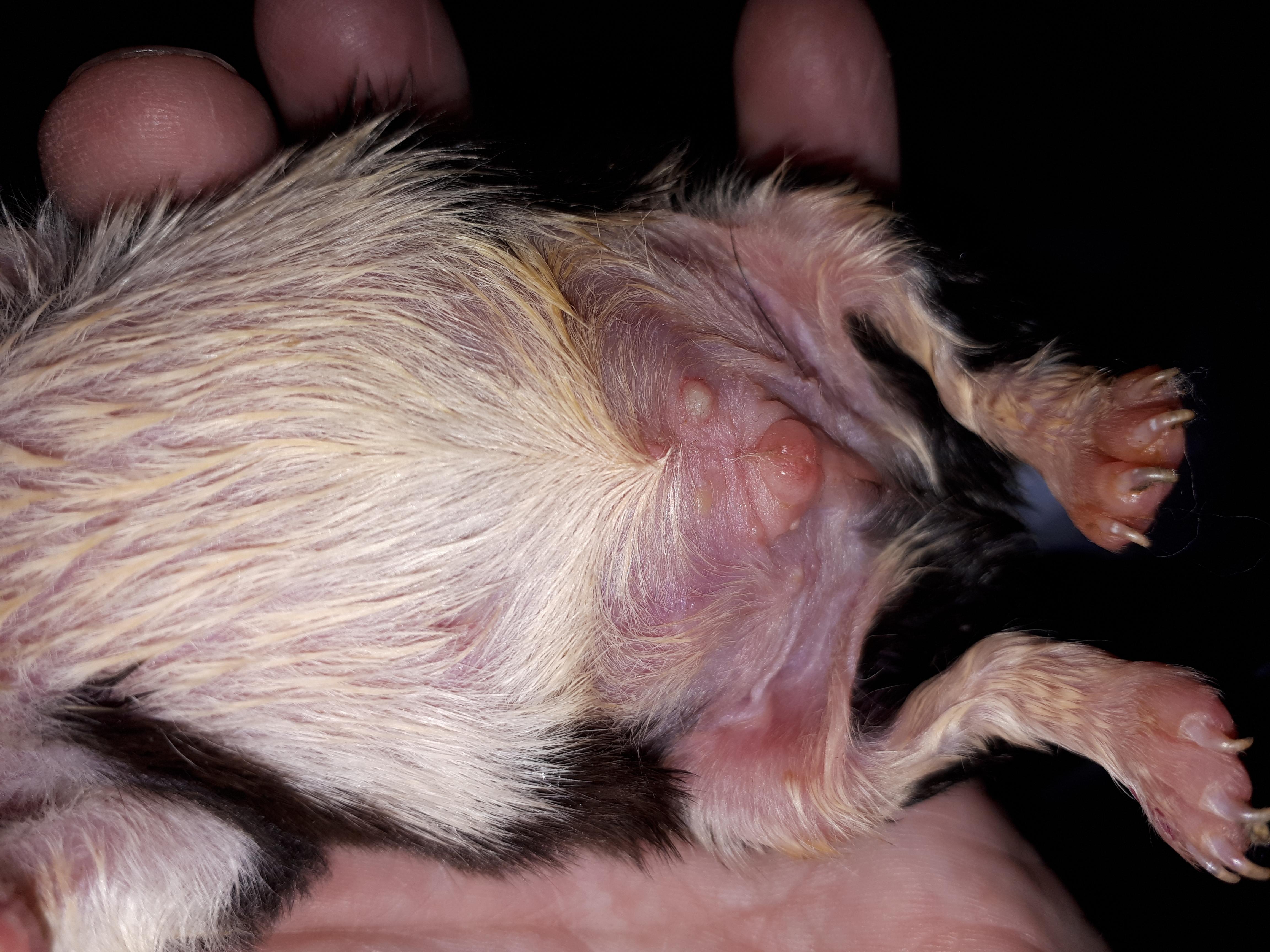 Question details sensitive content