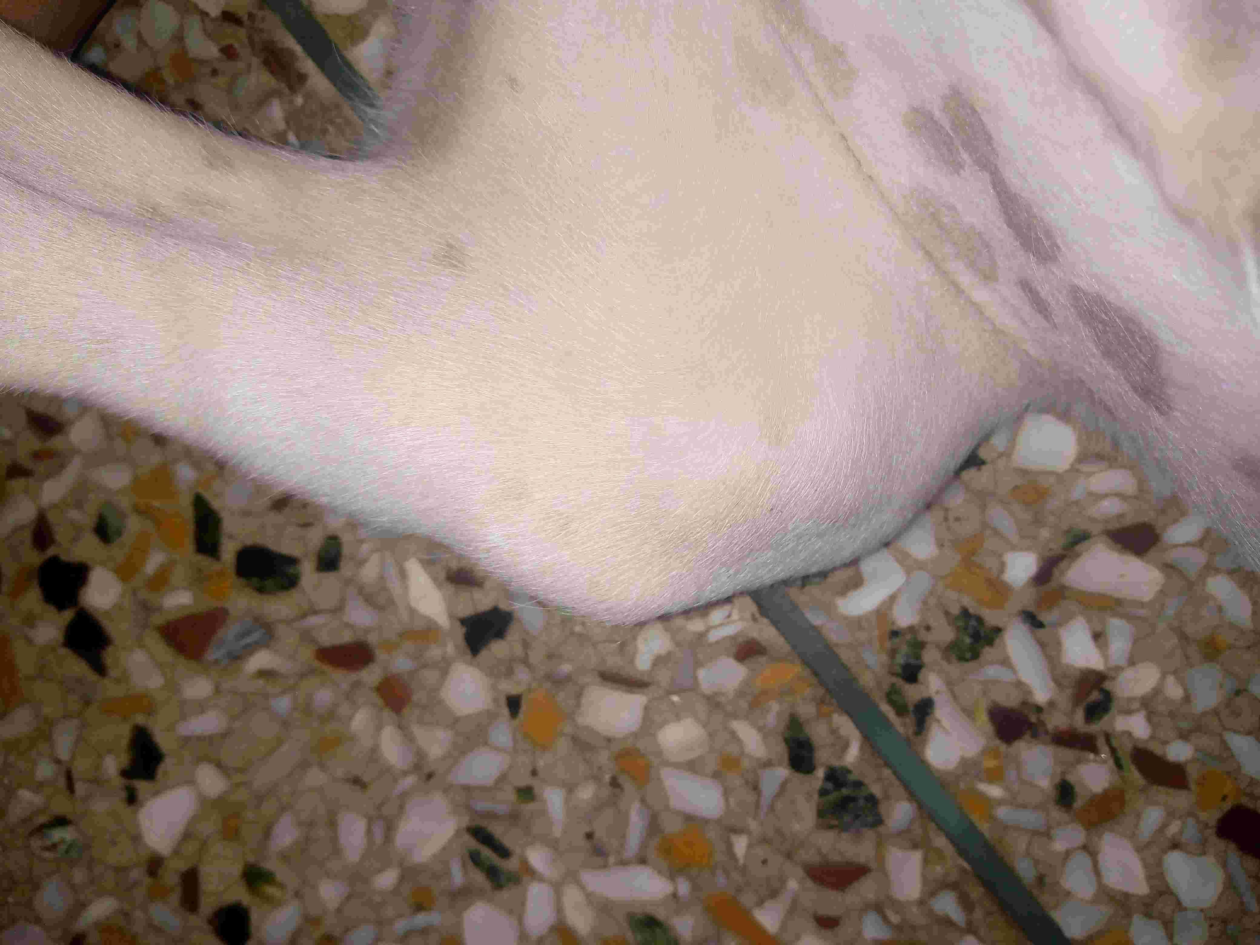 Question details sensitive content