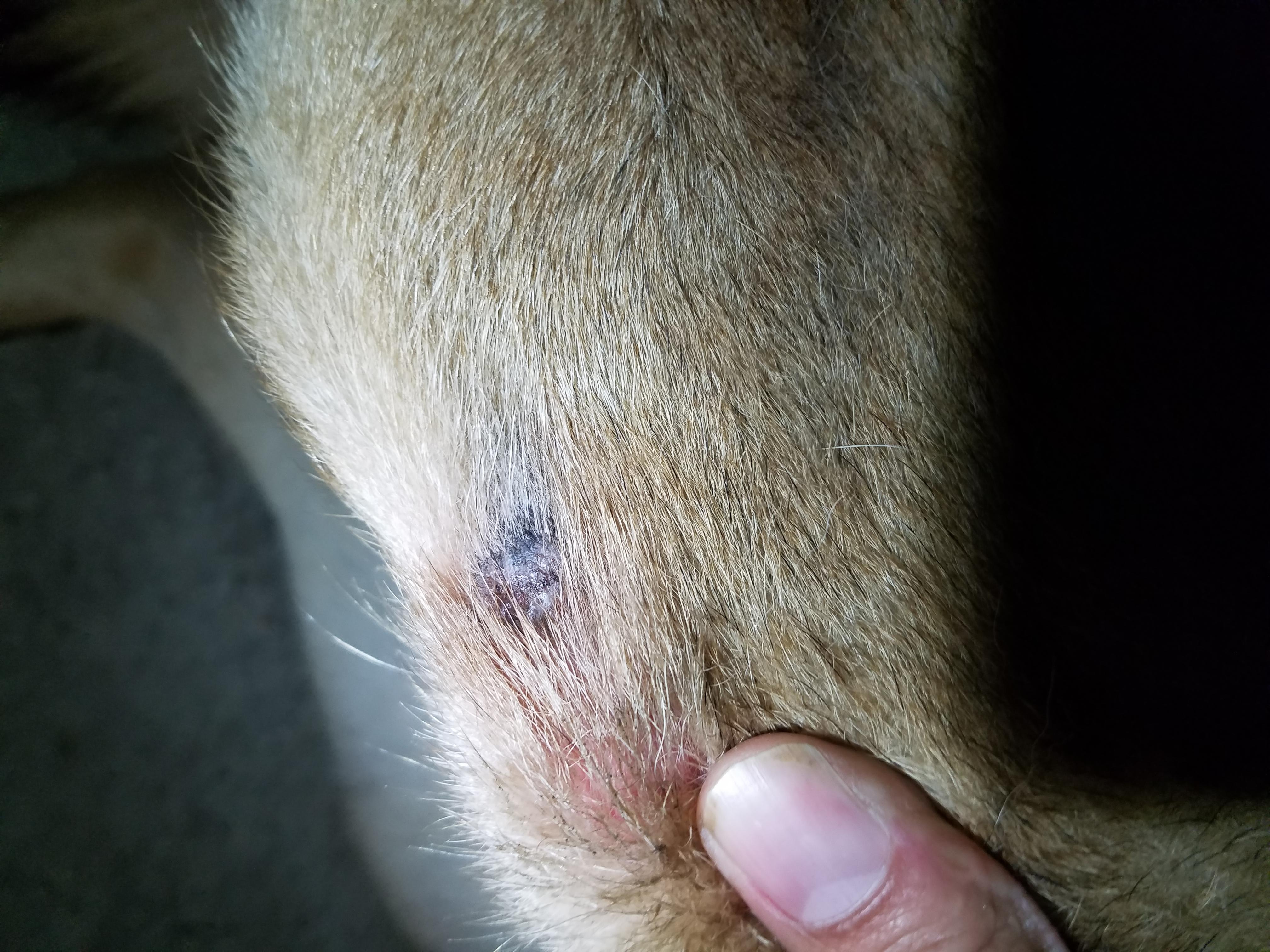 Question details sensitive content