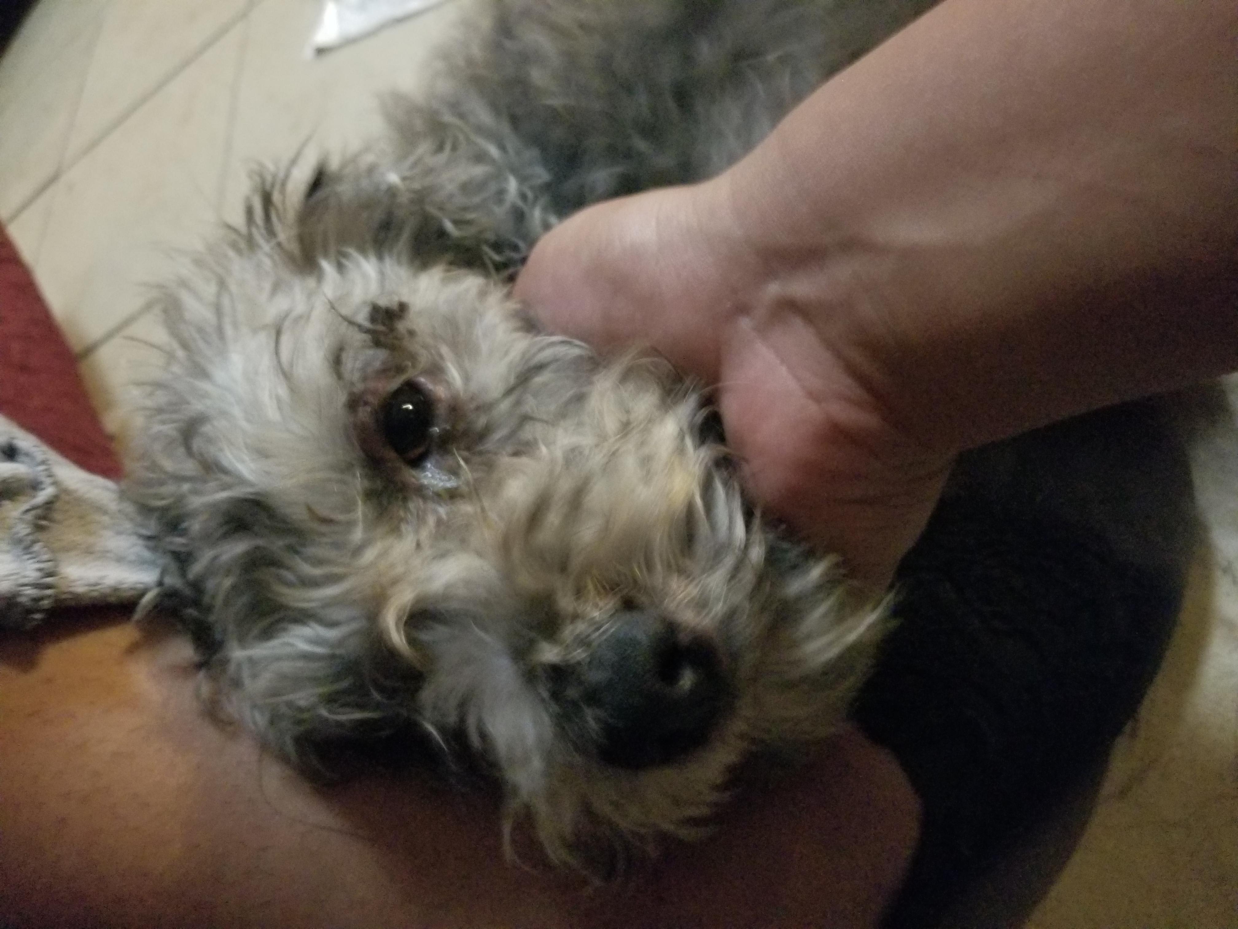 Question details sensitive content