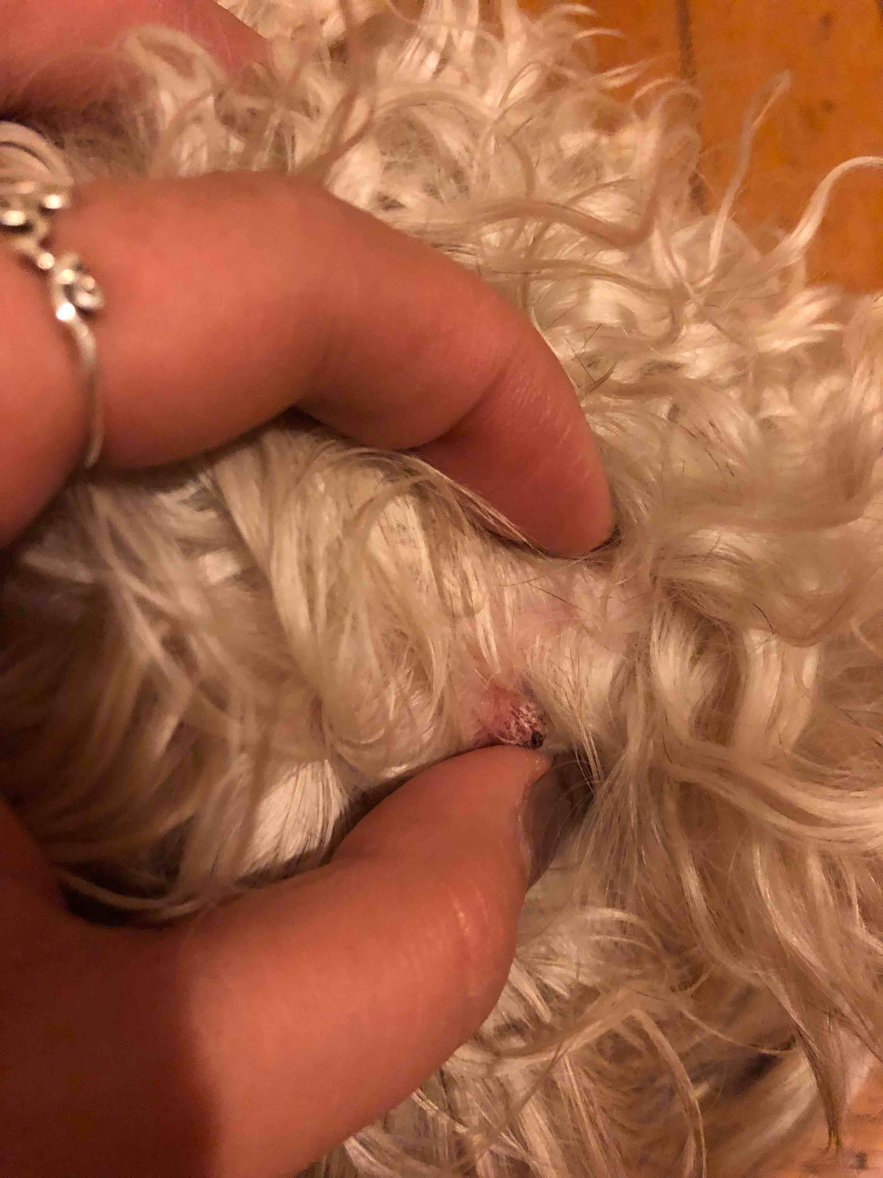 Question details sensitive content