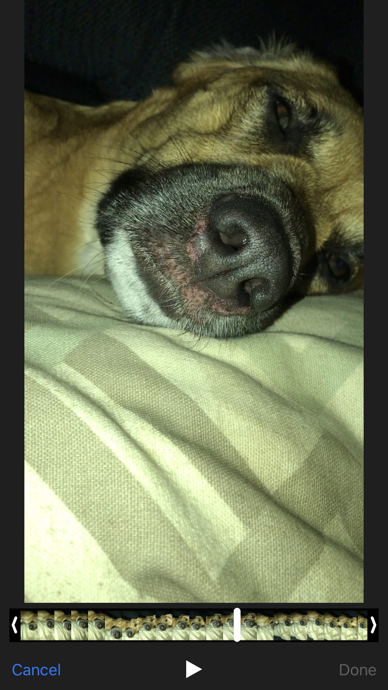 Question details sensitive content