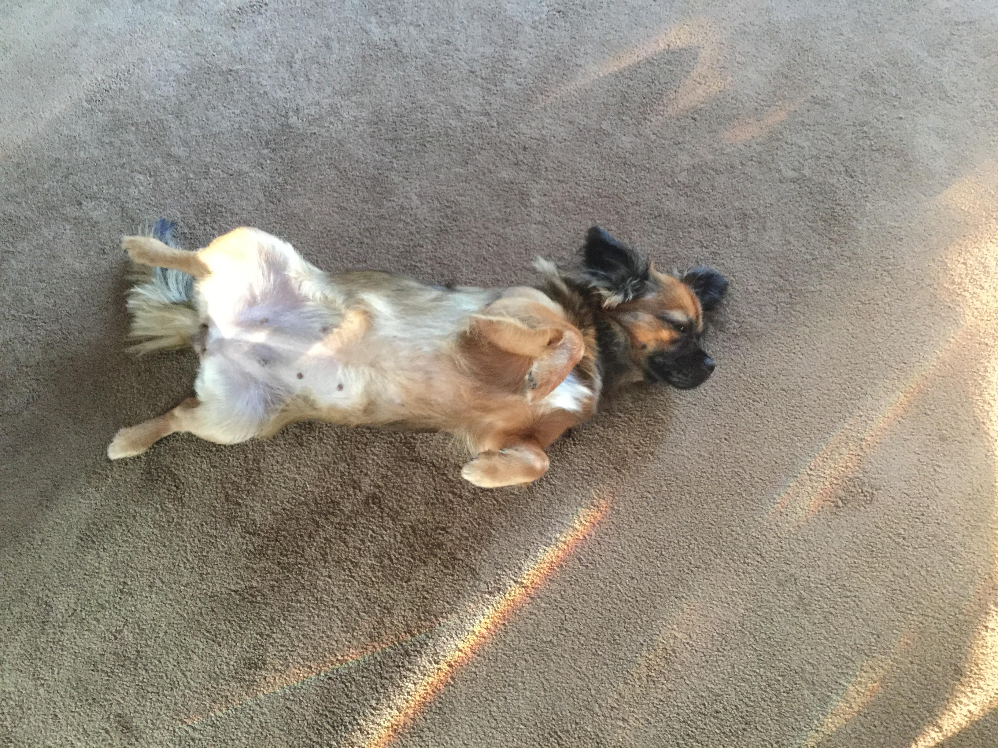 Question details sensitive content