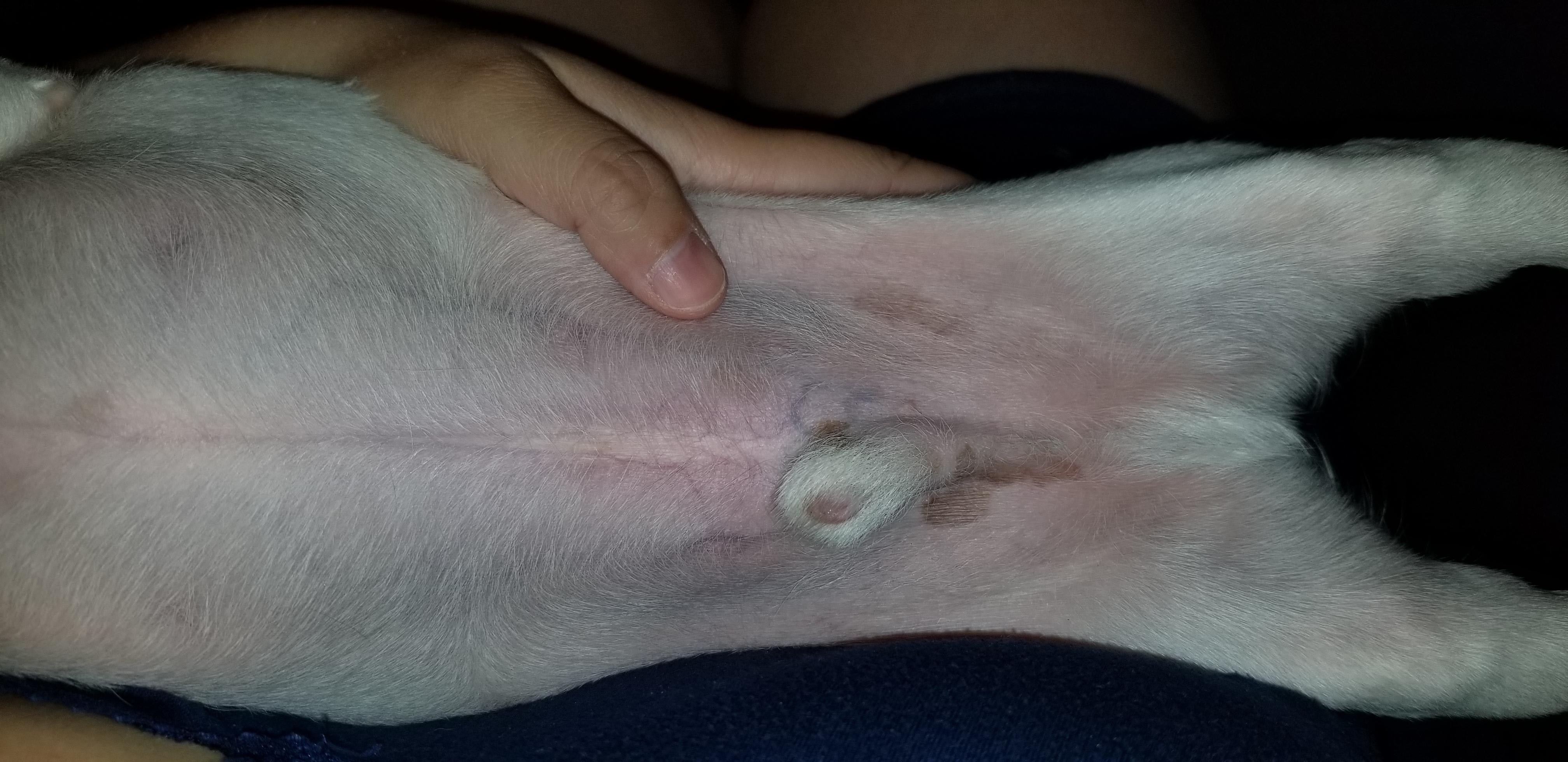 Question details sensitive content