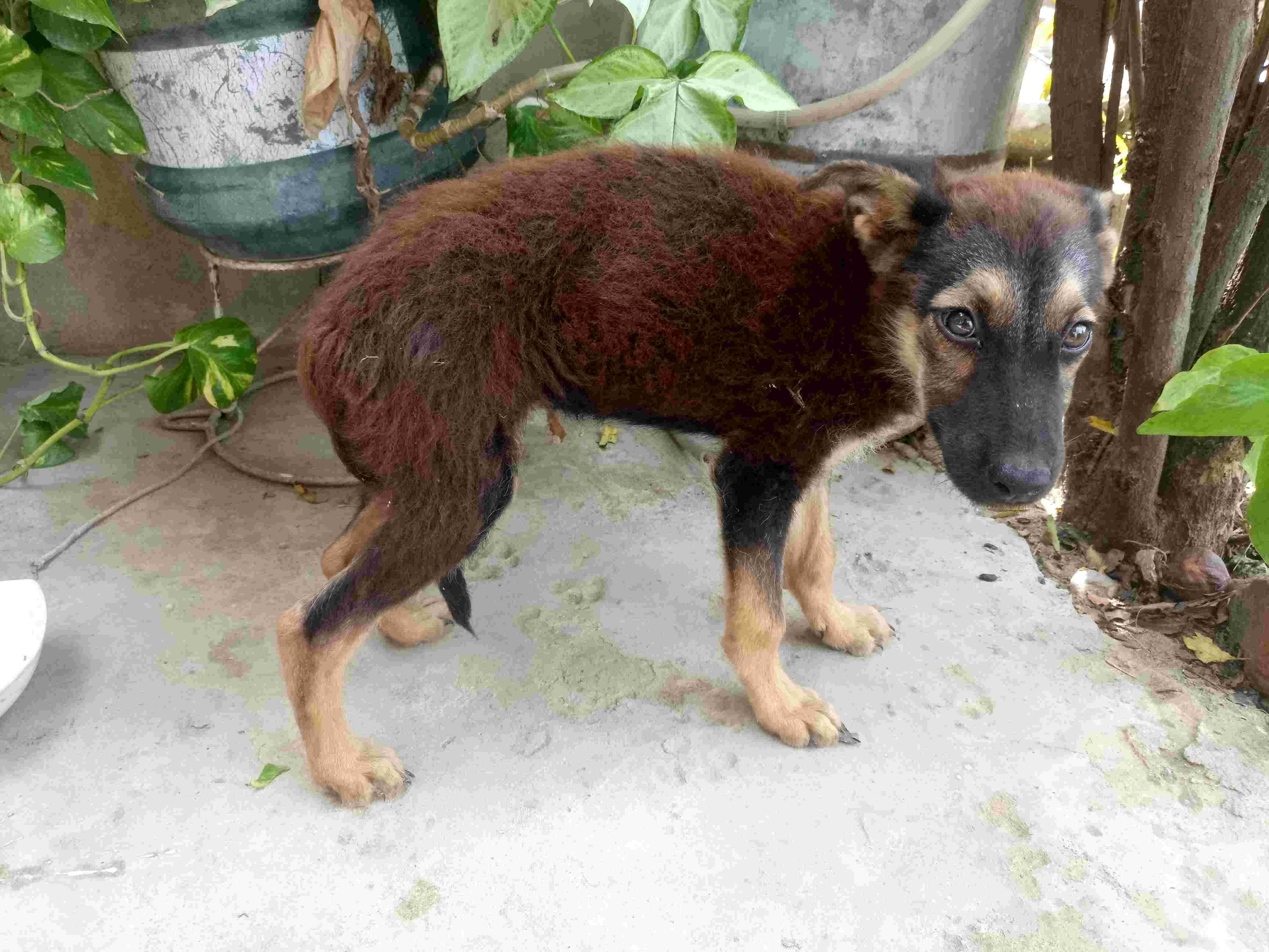 Question details sensitive content