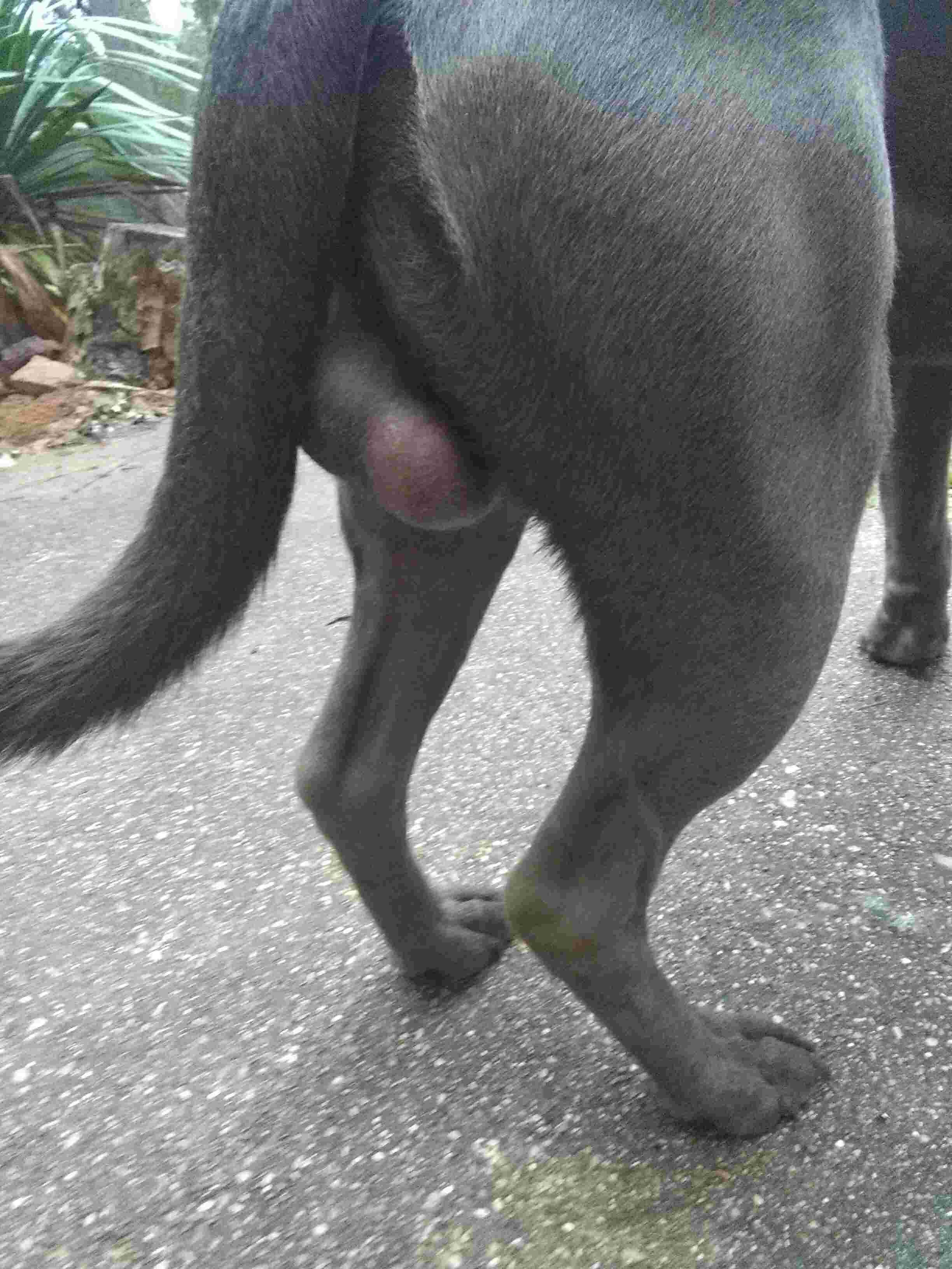 Question details sensitive content