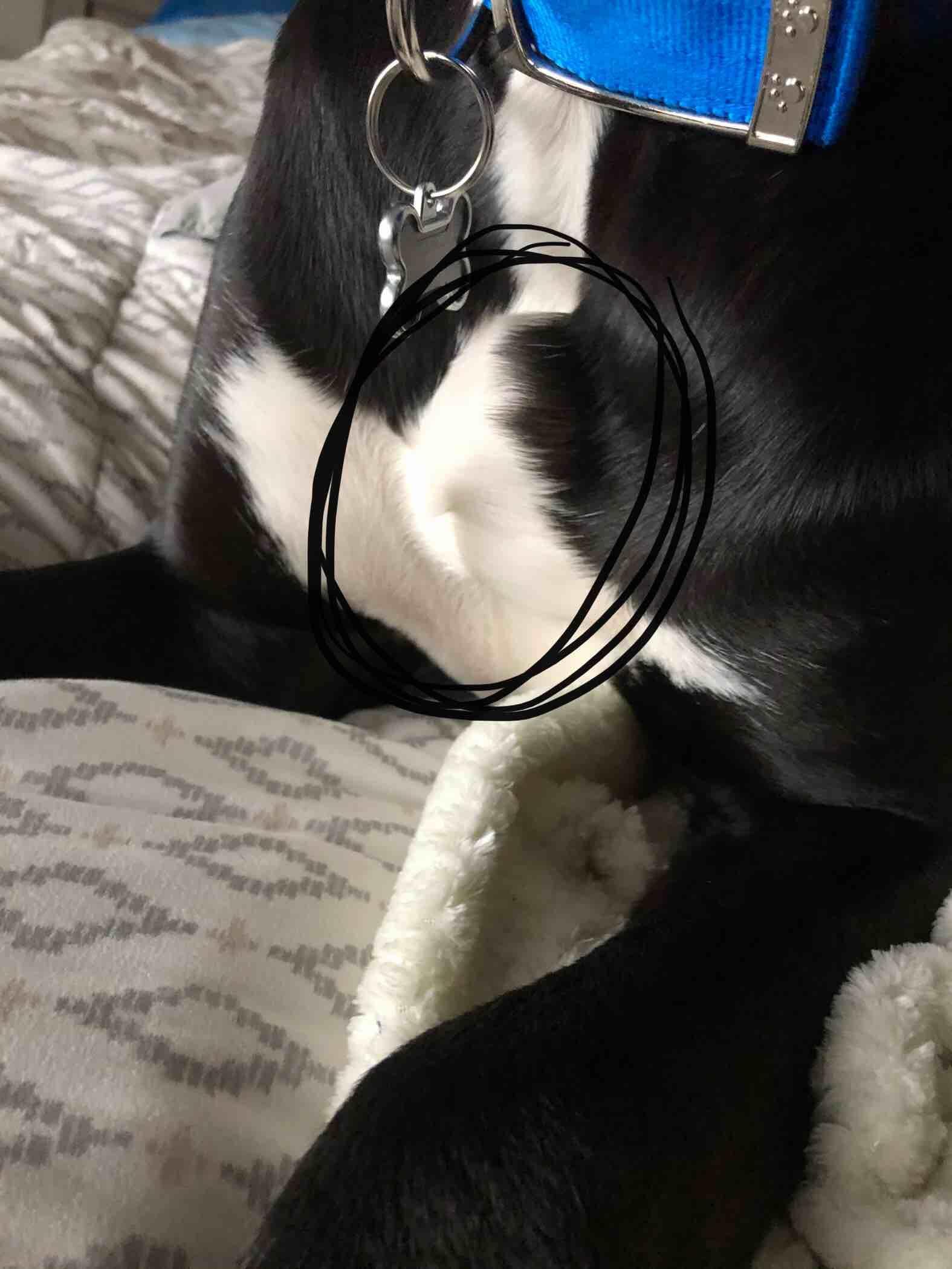 Question details sensitive content