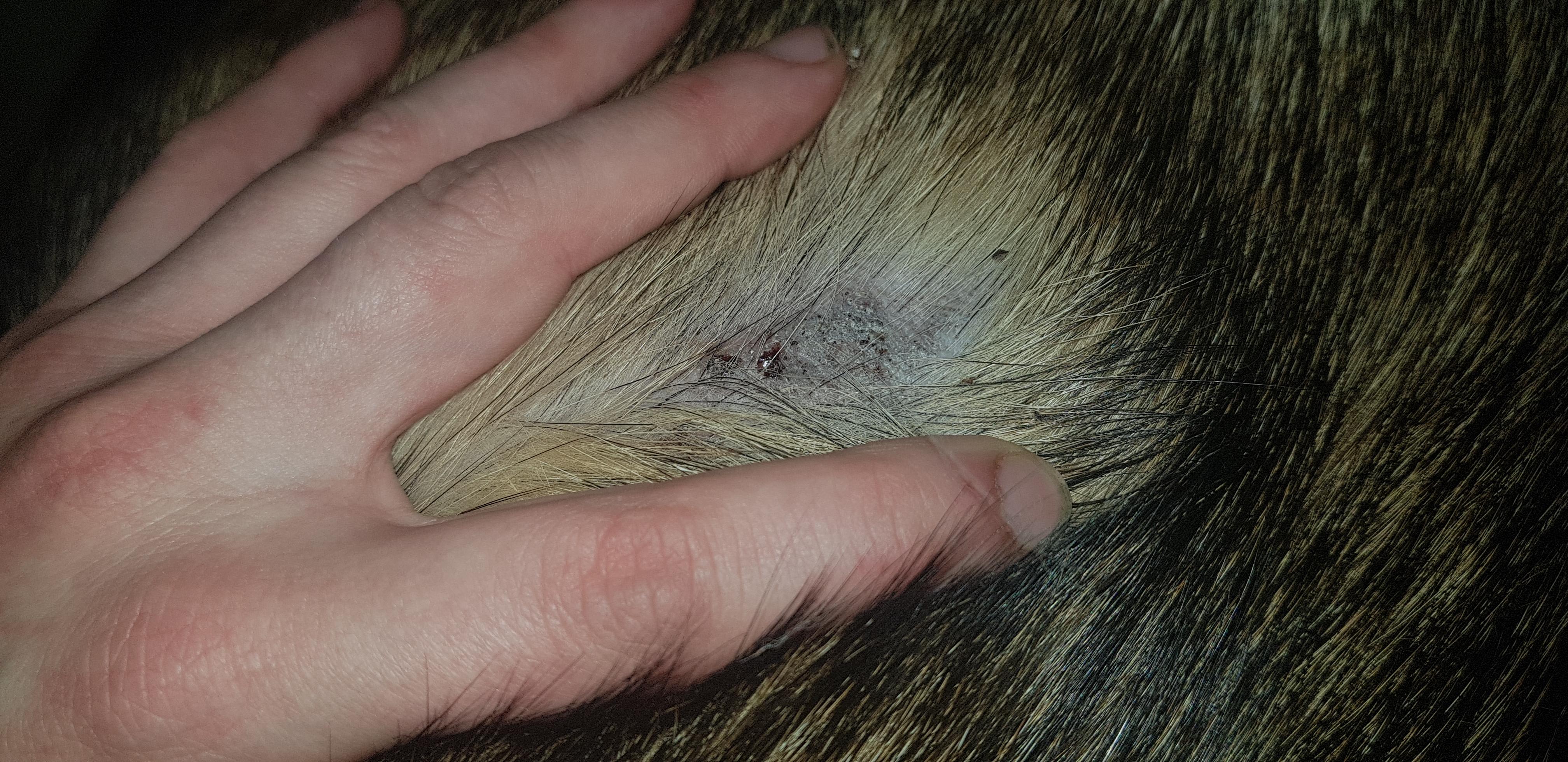 Question details sensitive content