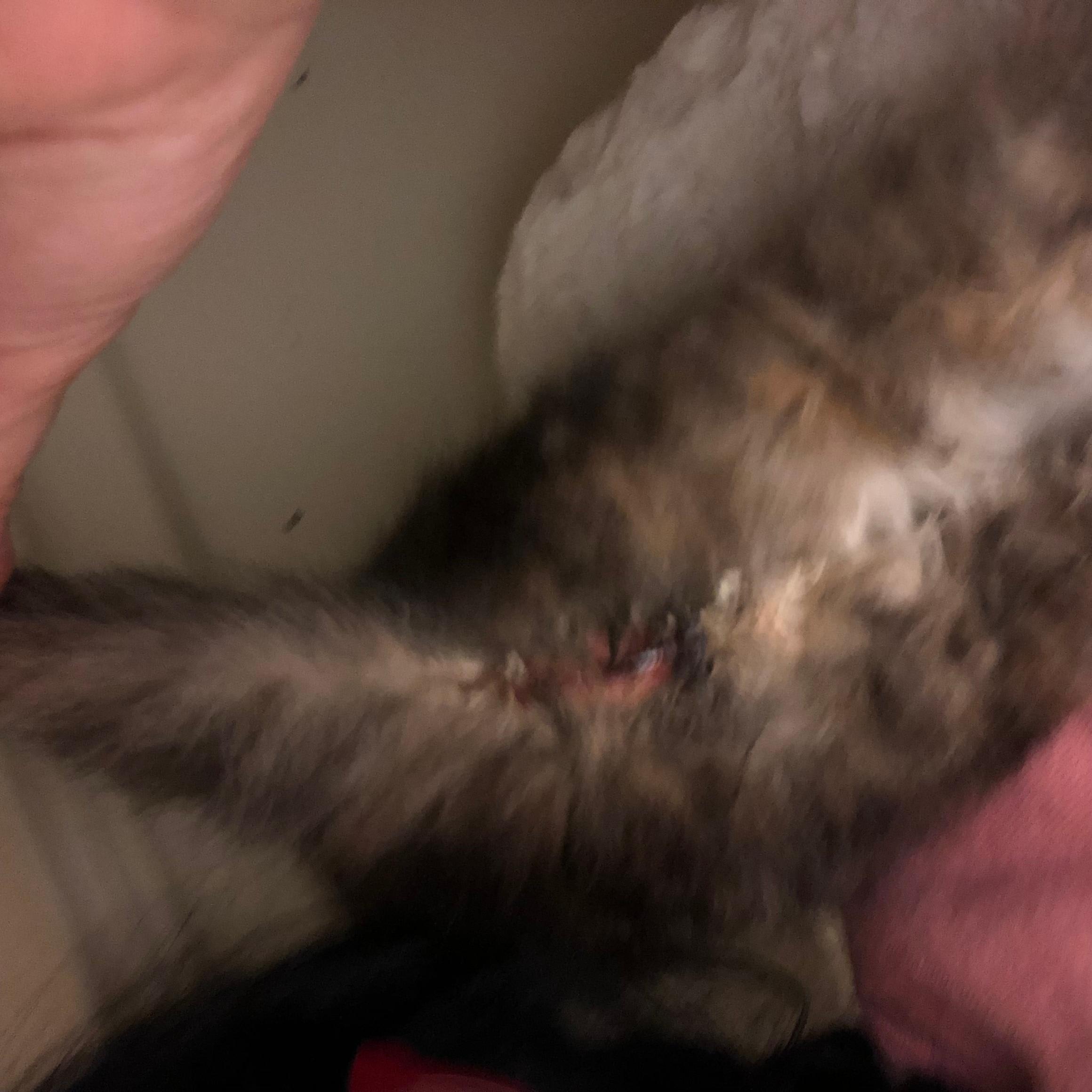 Question details sensitive content