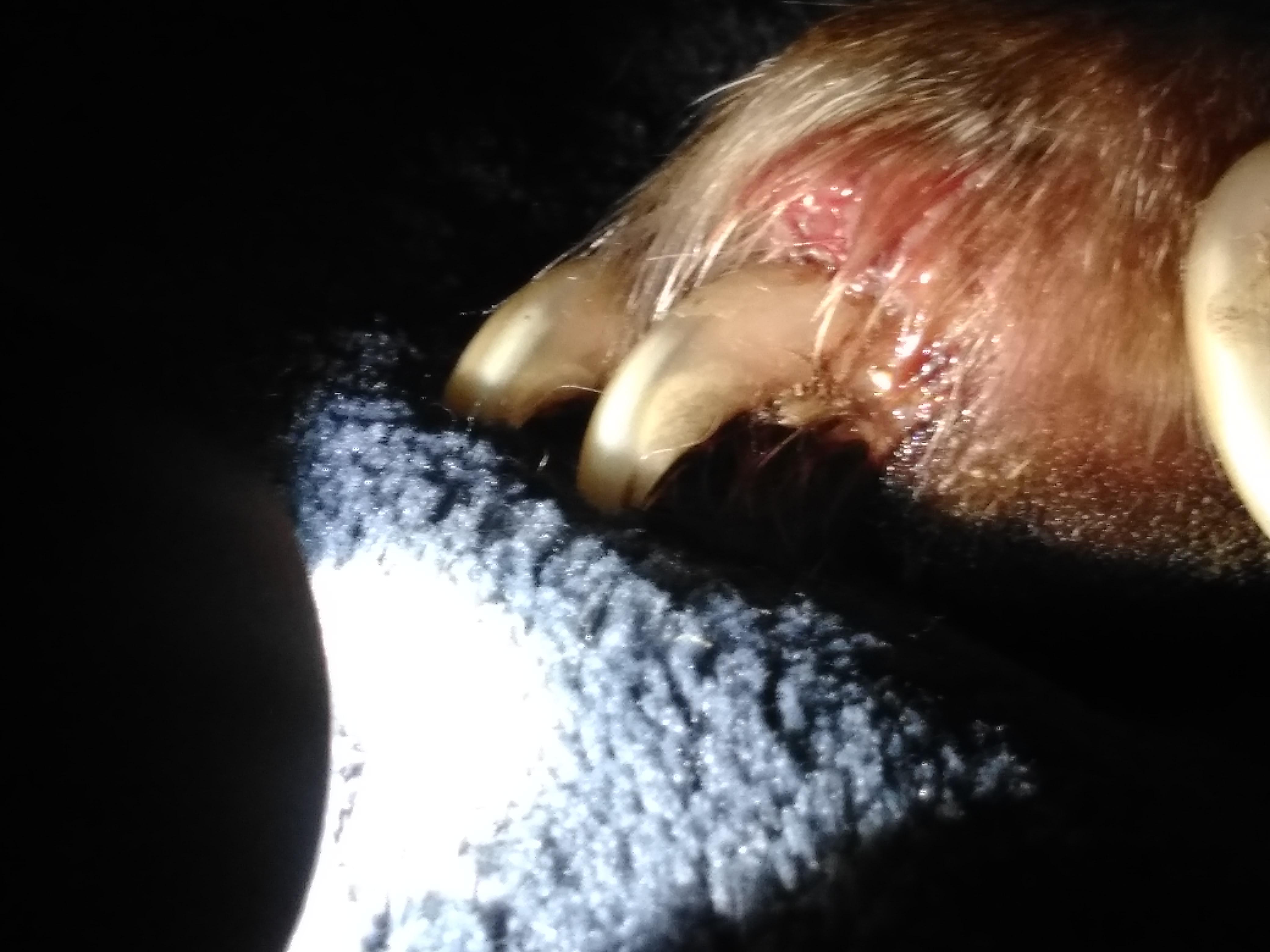 Question details sensitive content