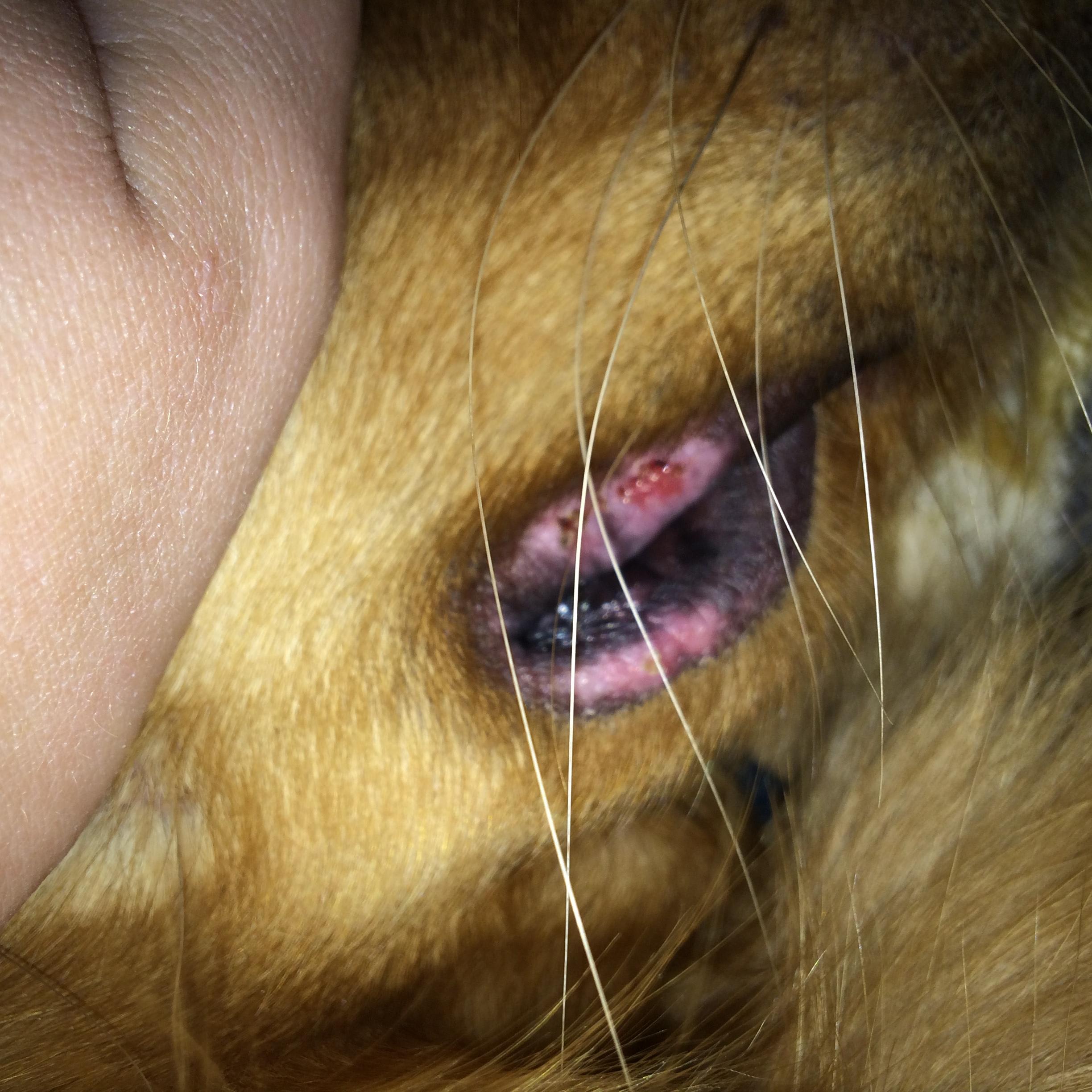 Question details sensitive content