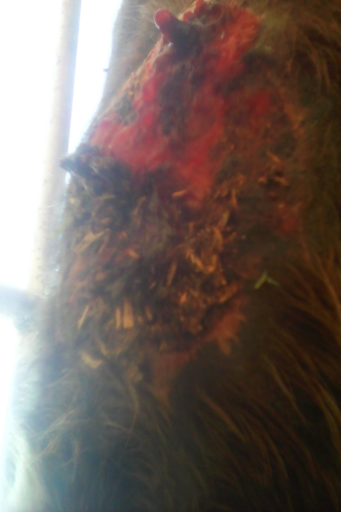 Question details sensitive content