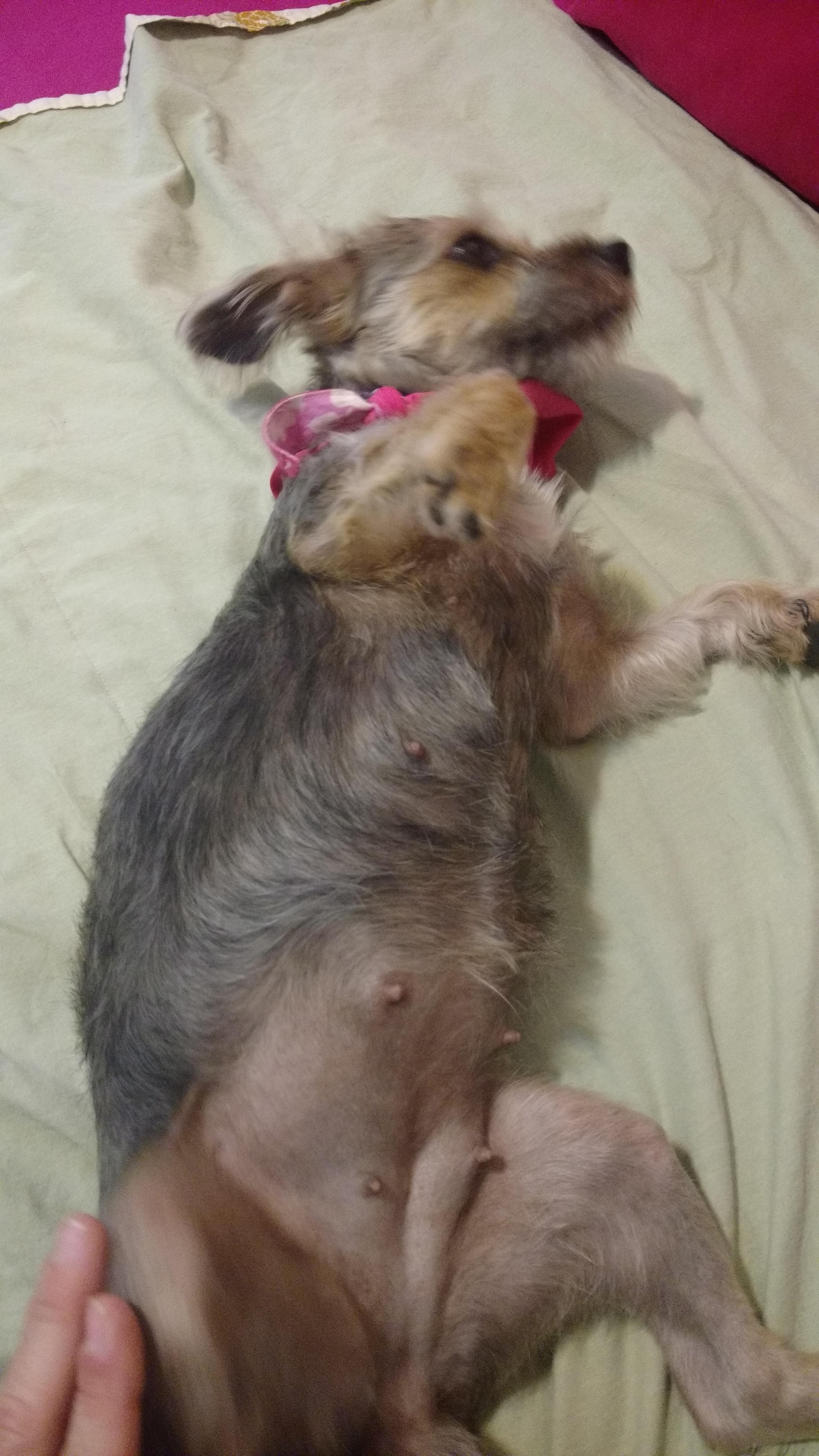 Question details sensitive content