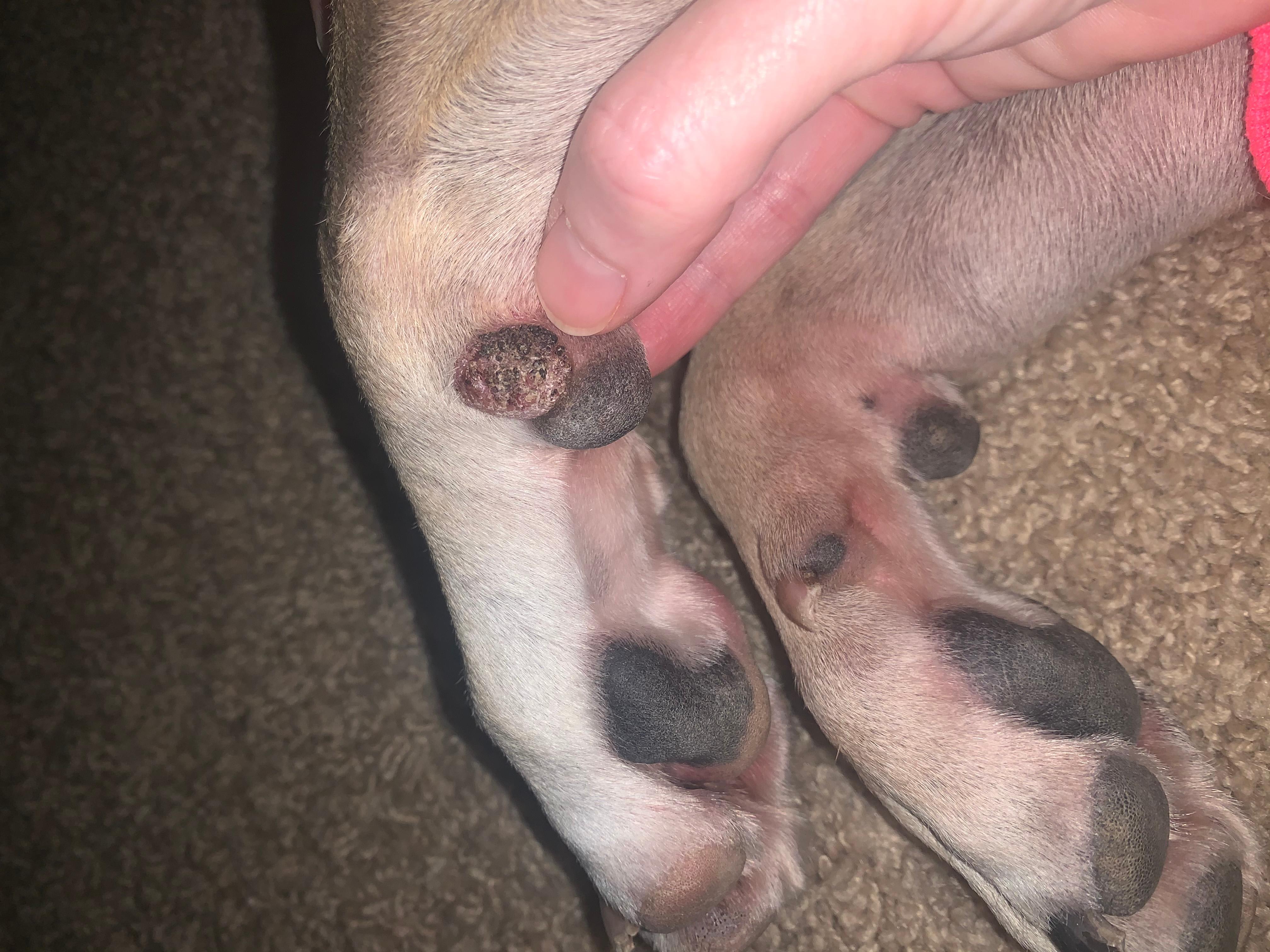 Question details sensitive content