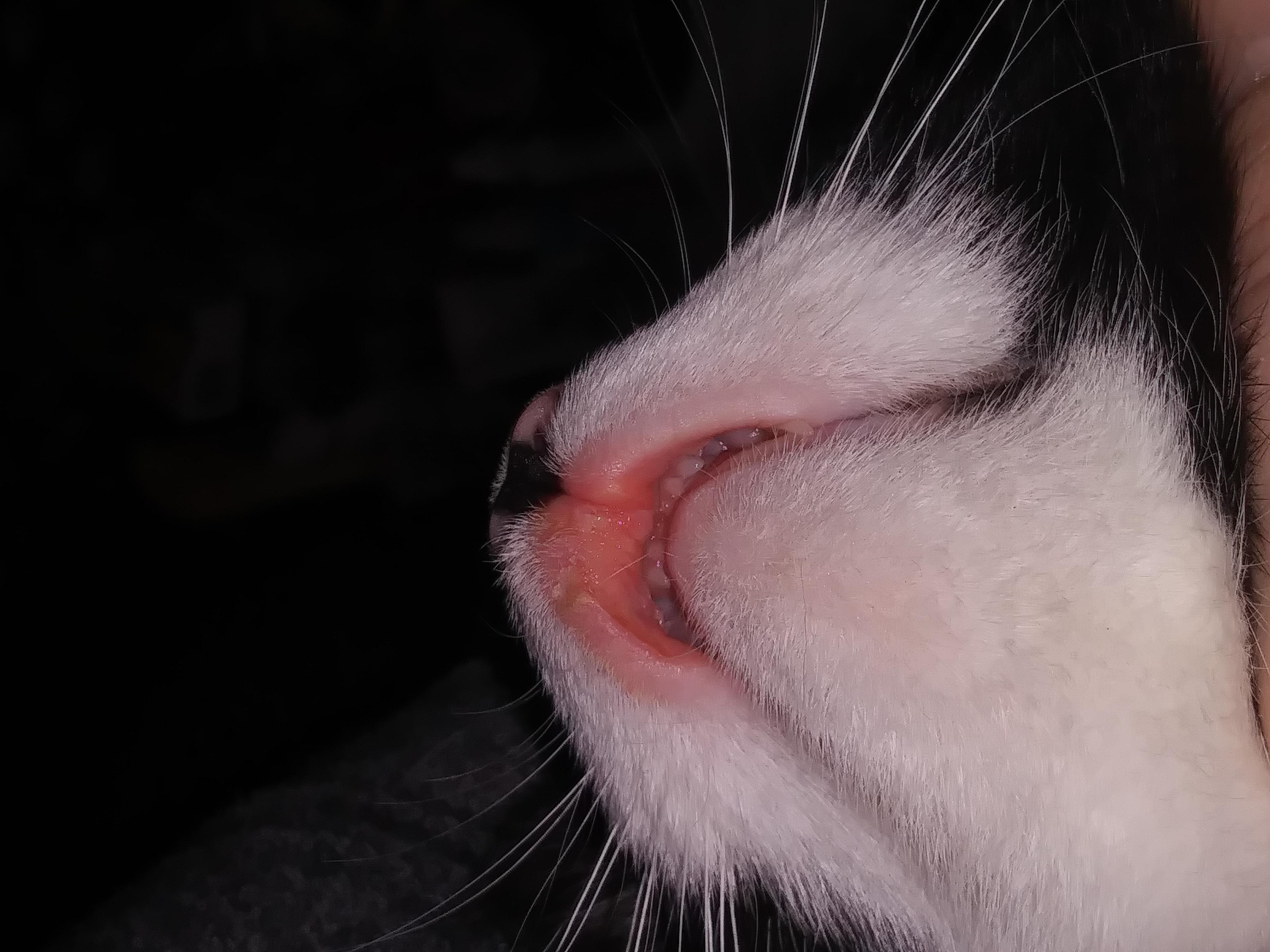 Question details sensitive content