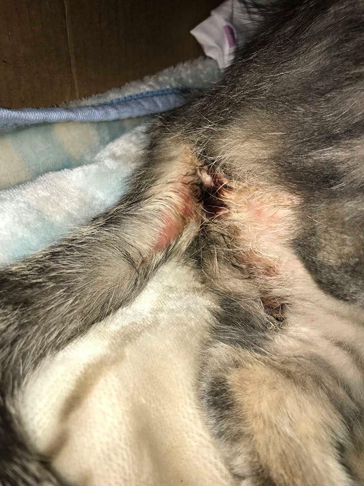 Question details sensitive content