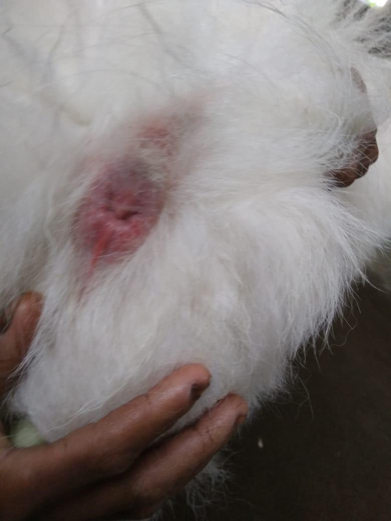 Question details sensitive content